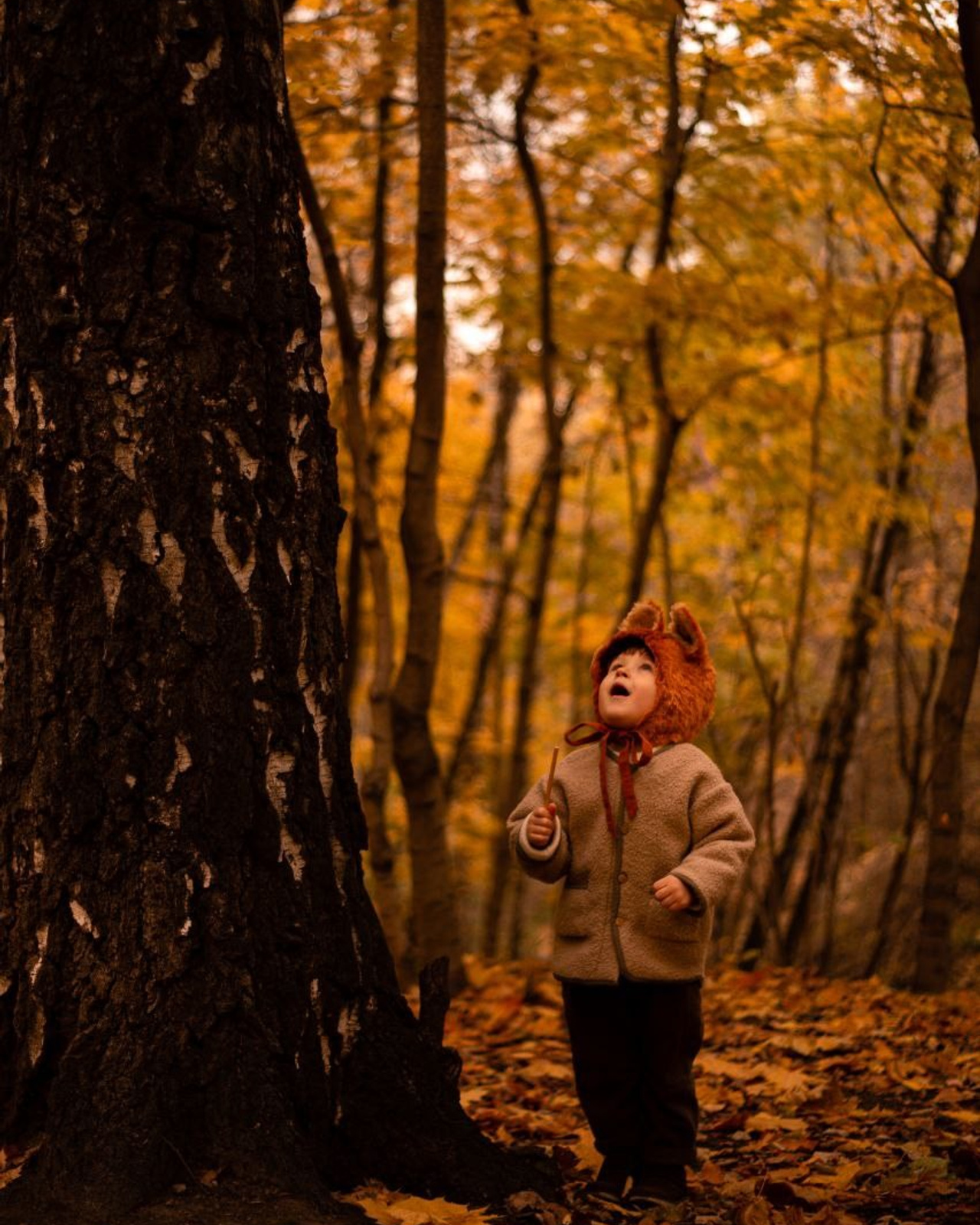 Фотопрогулка