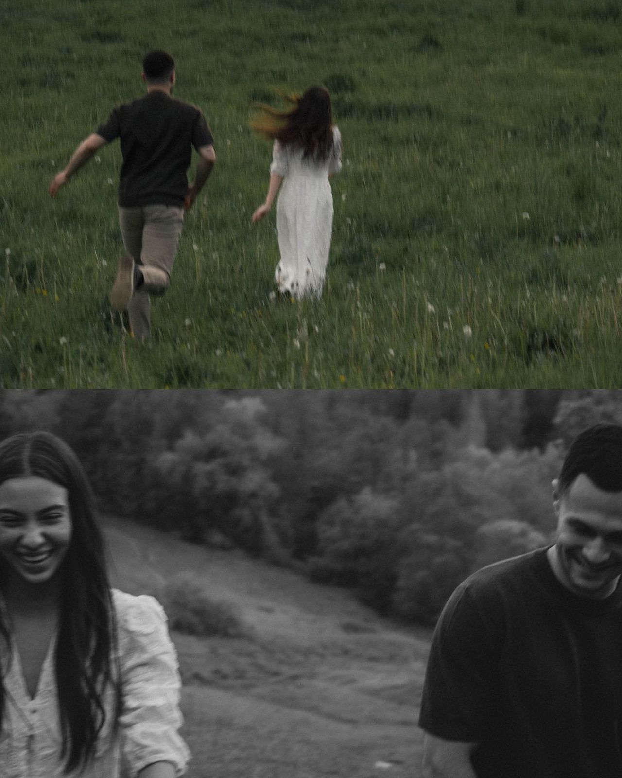 Букет полевых цветов.