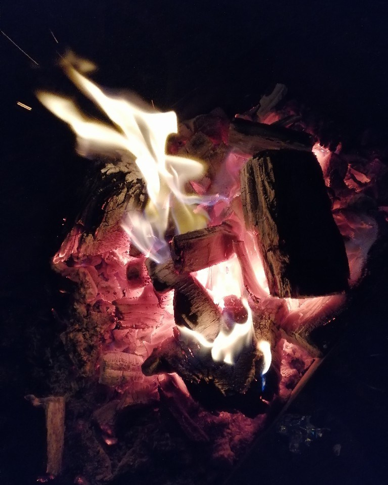 Шашлычки 10.05.2019