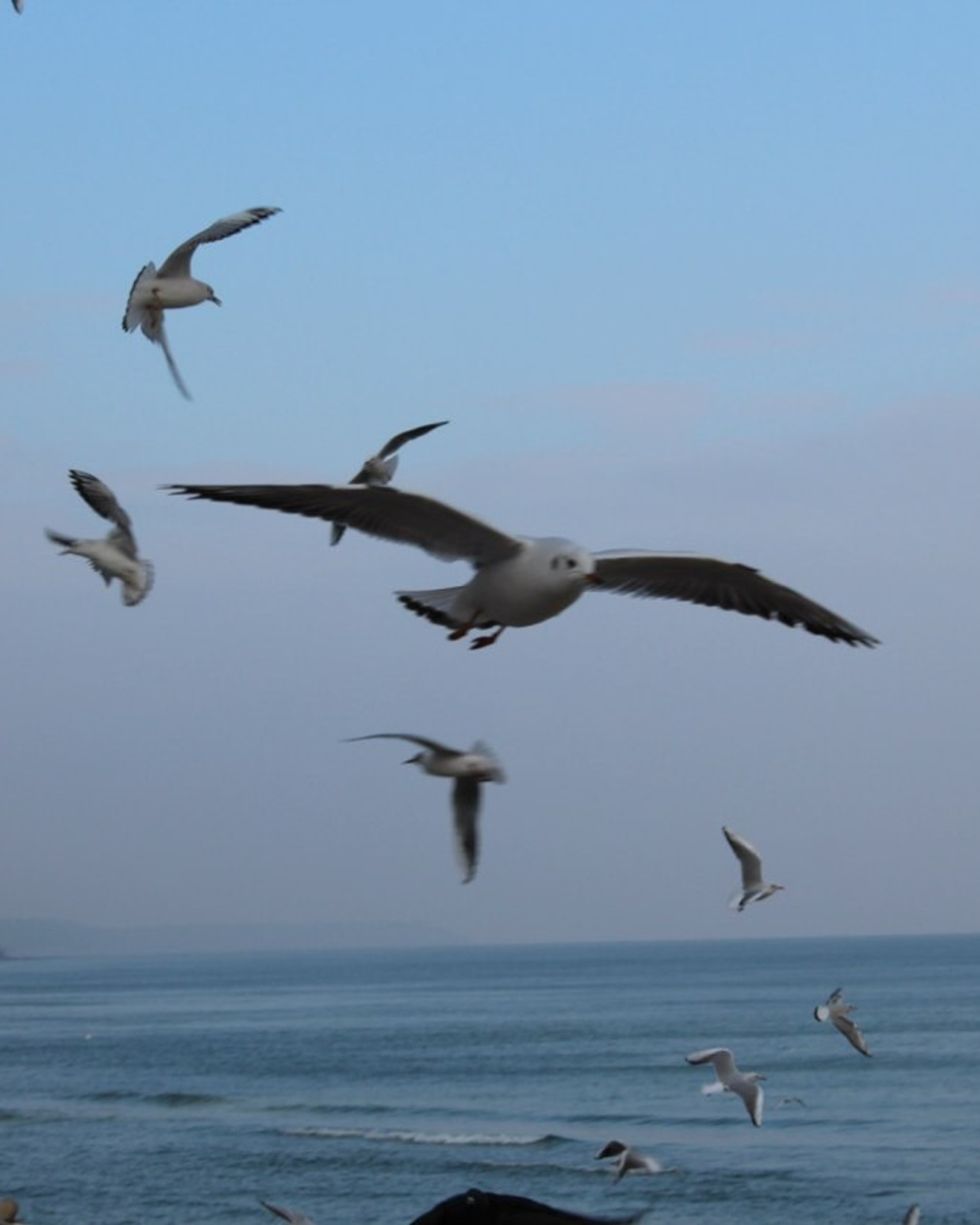 Калининград | 24-26.10.2014