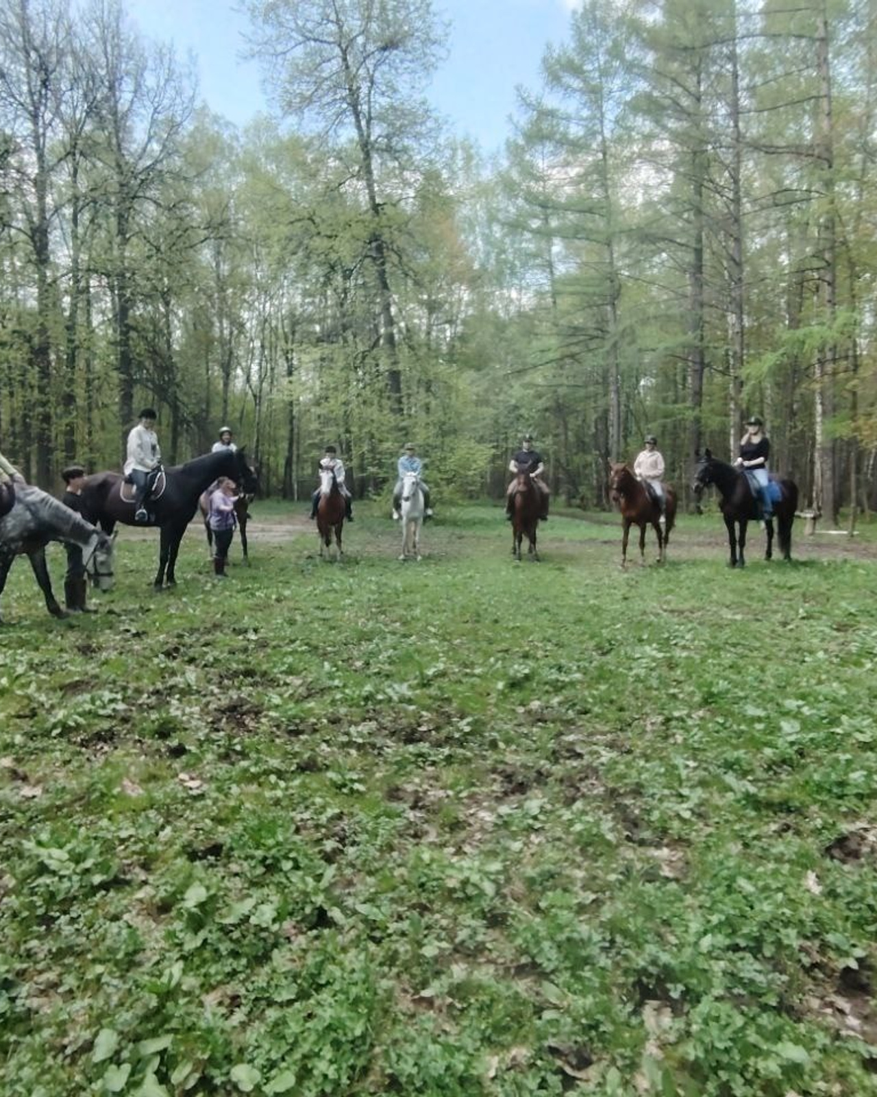 Лошадинг | 30.03.2024