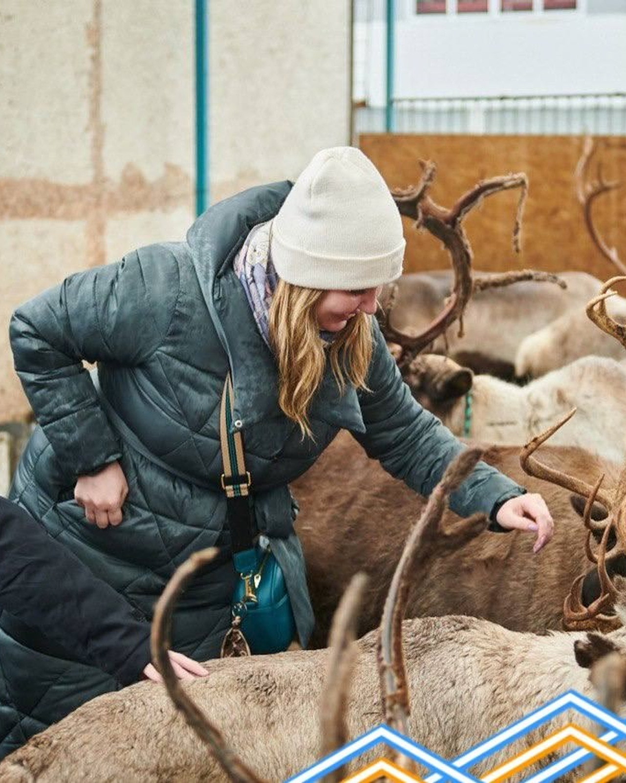 В&nbsp;гости к&nbsp;северным оленям | 18.01.2025