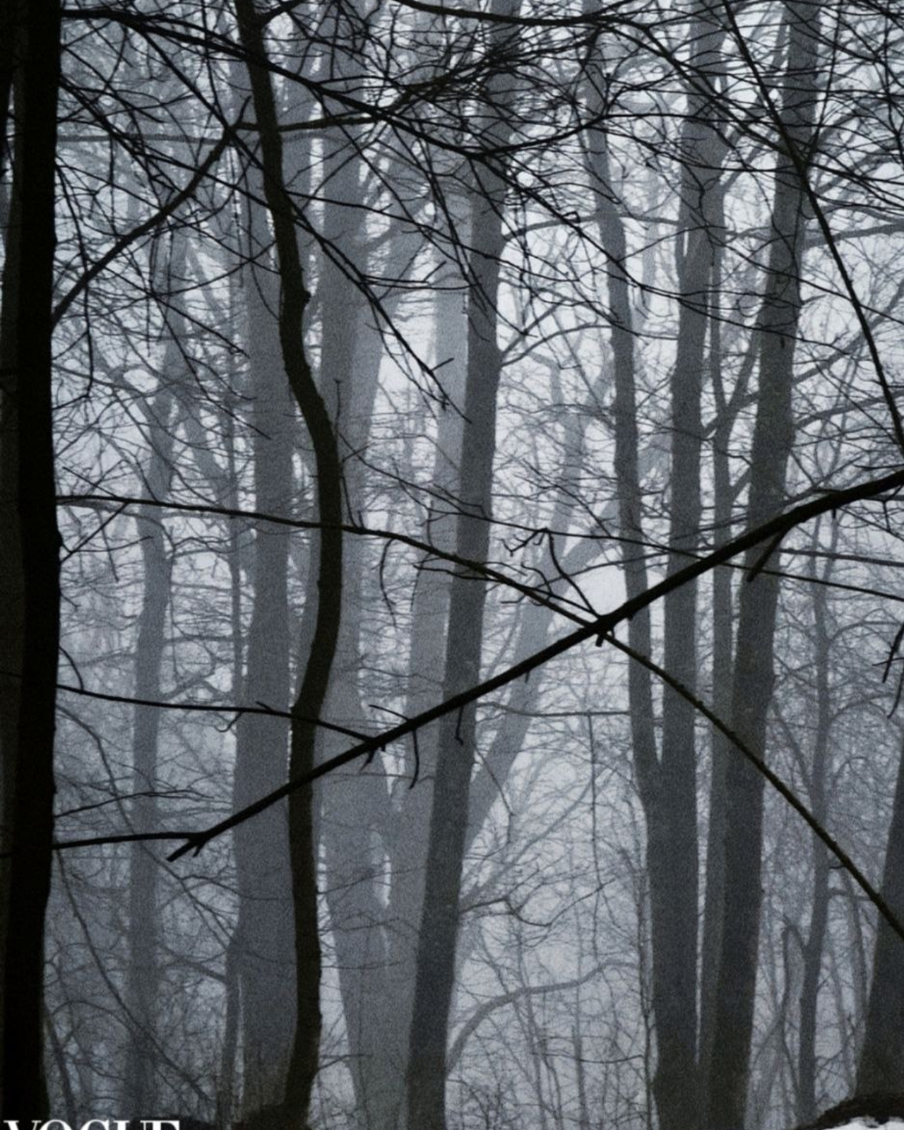 Публикации