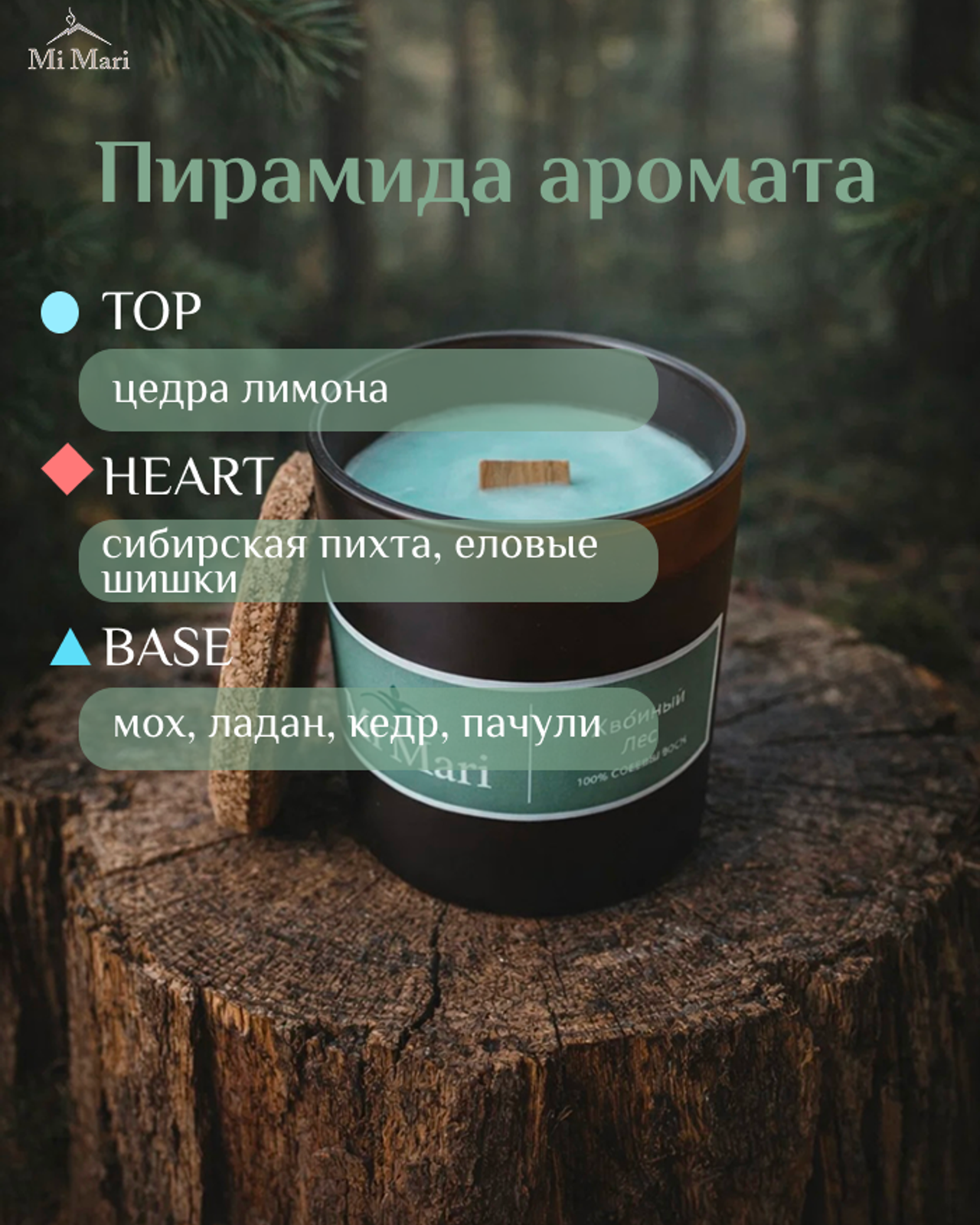 ХВОЙНЫЙ ЛЕС