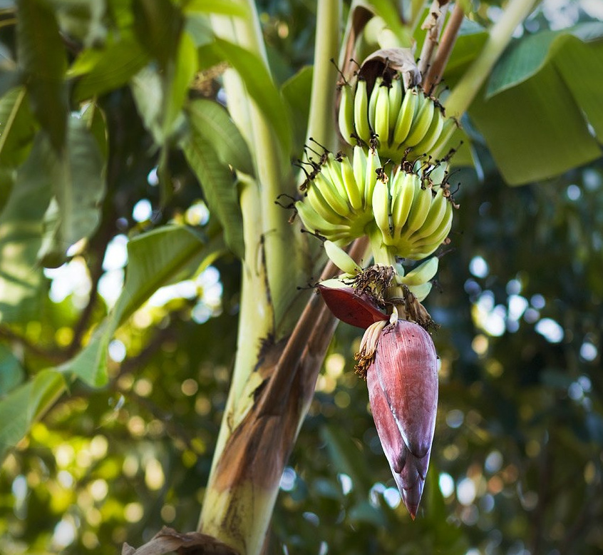 Services. Photography & Events Thailand Krabi