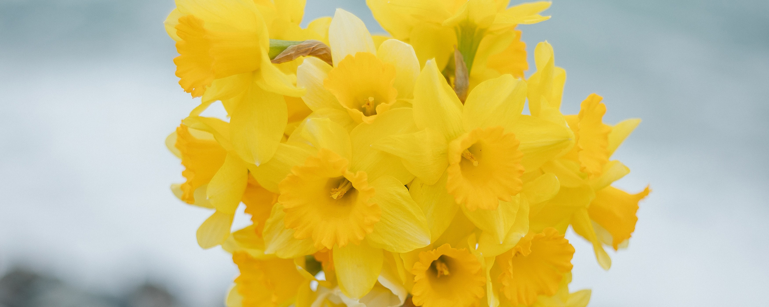 СОЧИ 🌊'26. Фотограф Москва, Балашиха, МО. Свадьбы, репортажи, контент, портреты