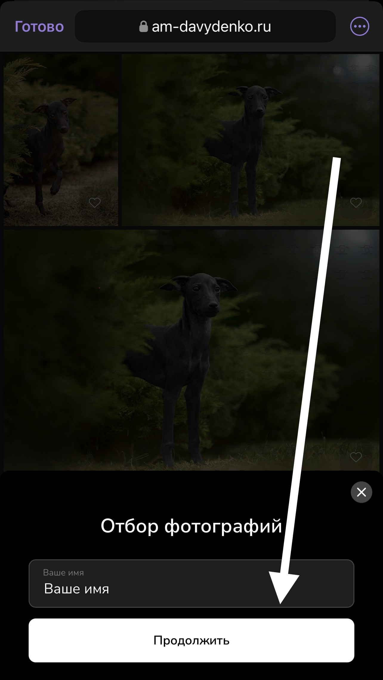 Отбор фотографий