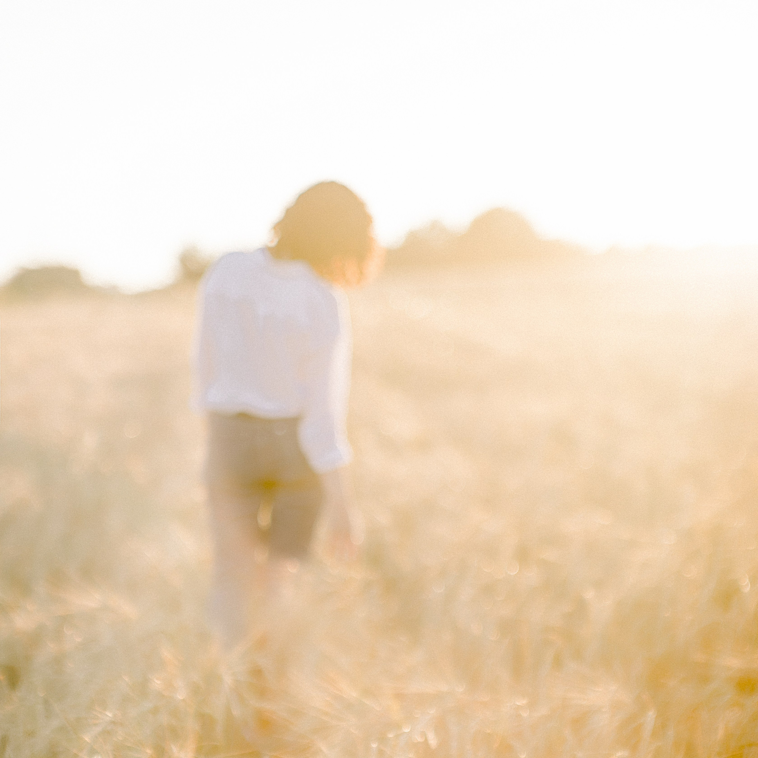 выставка 2025, выставка фотографии, выставка 2026, выставка зимней фотографии, выставка москва, фотовыставка