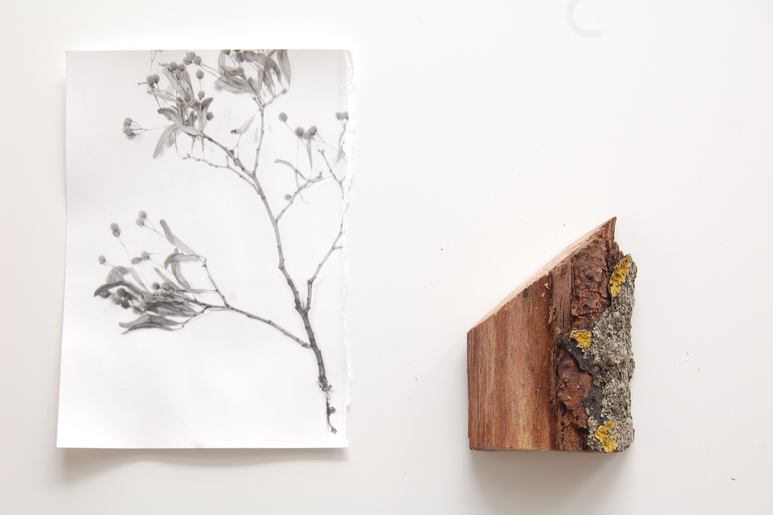 Выставка ''Черный ящик'' с 16 марта по 16 апреля 2021 года