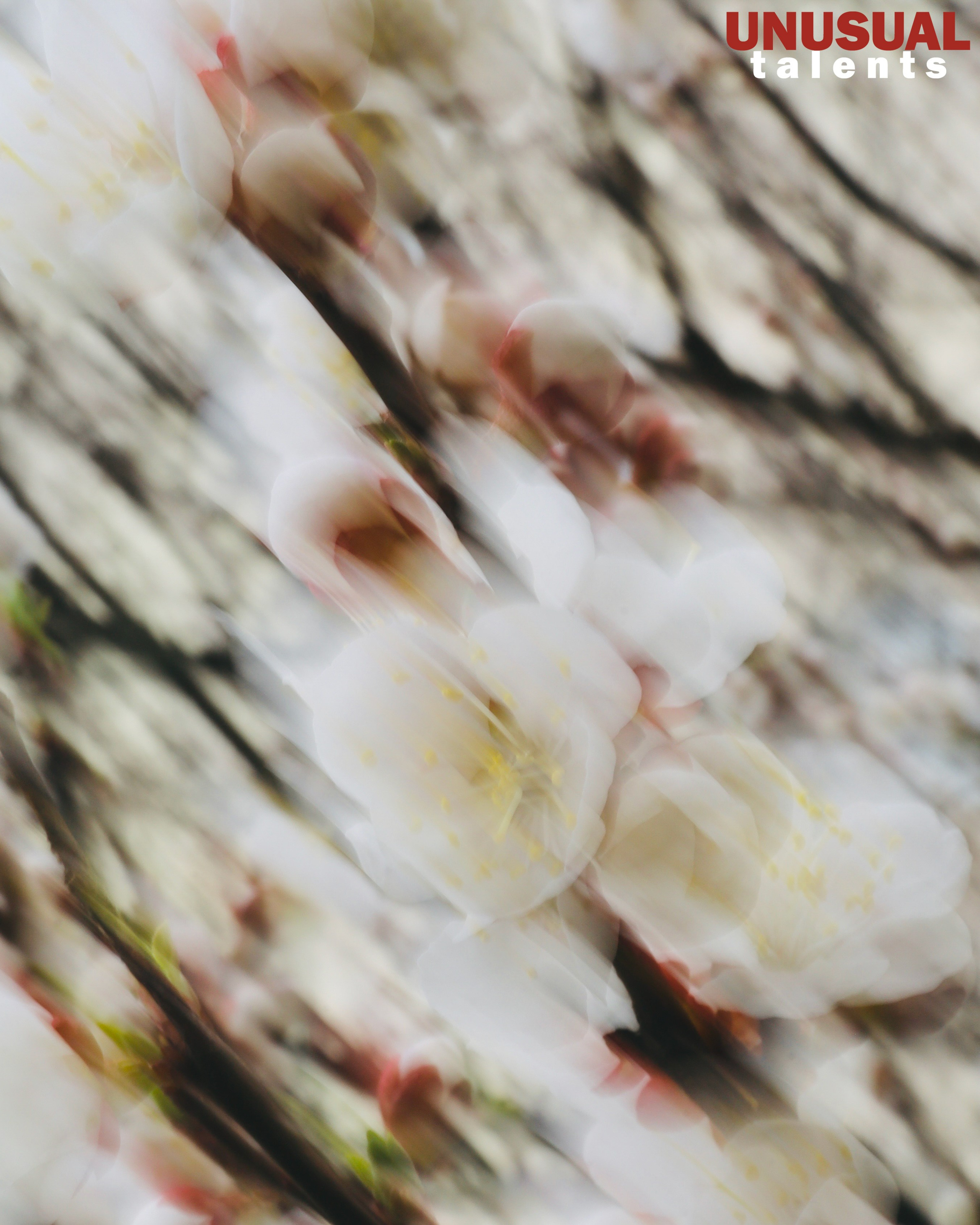 Irina Mosko. UNUSUAL TALENT magazine