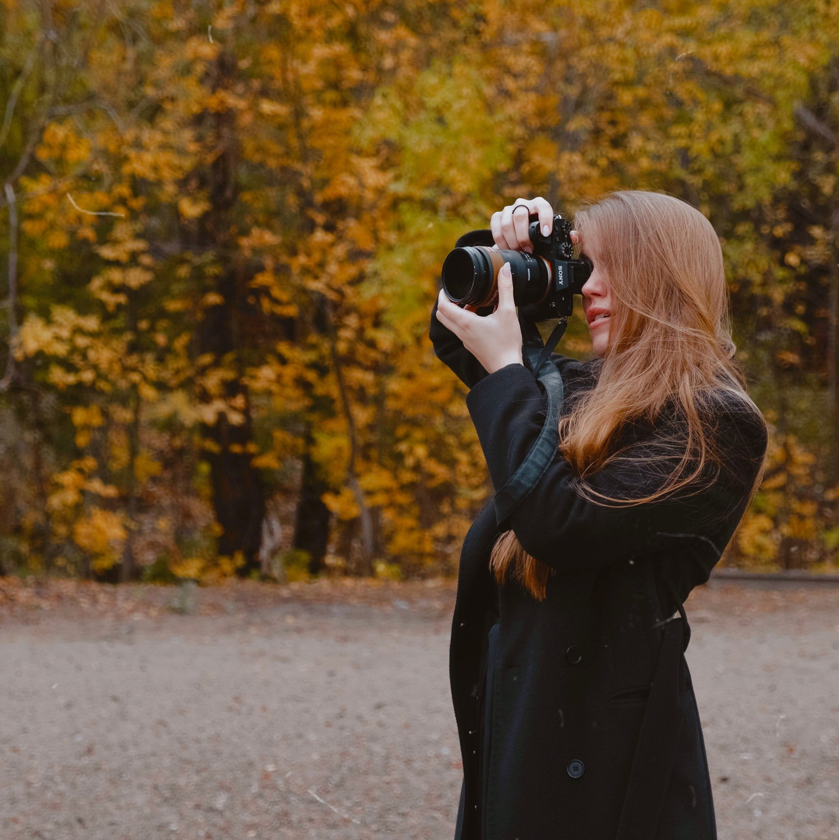 Контакты. Главная