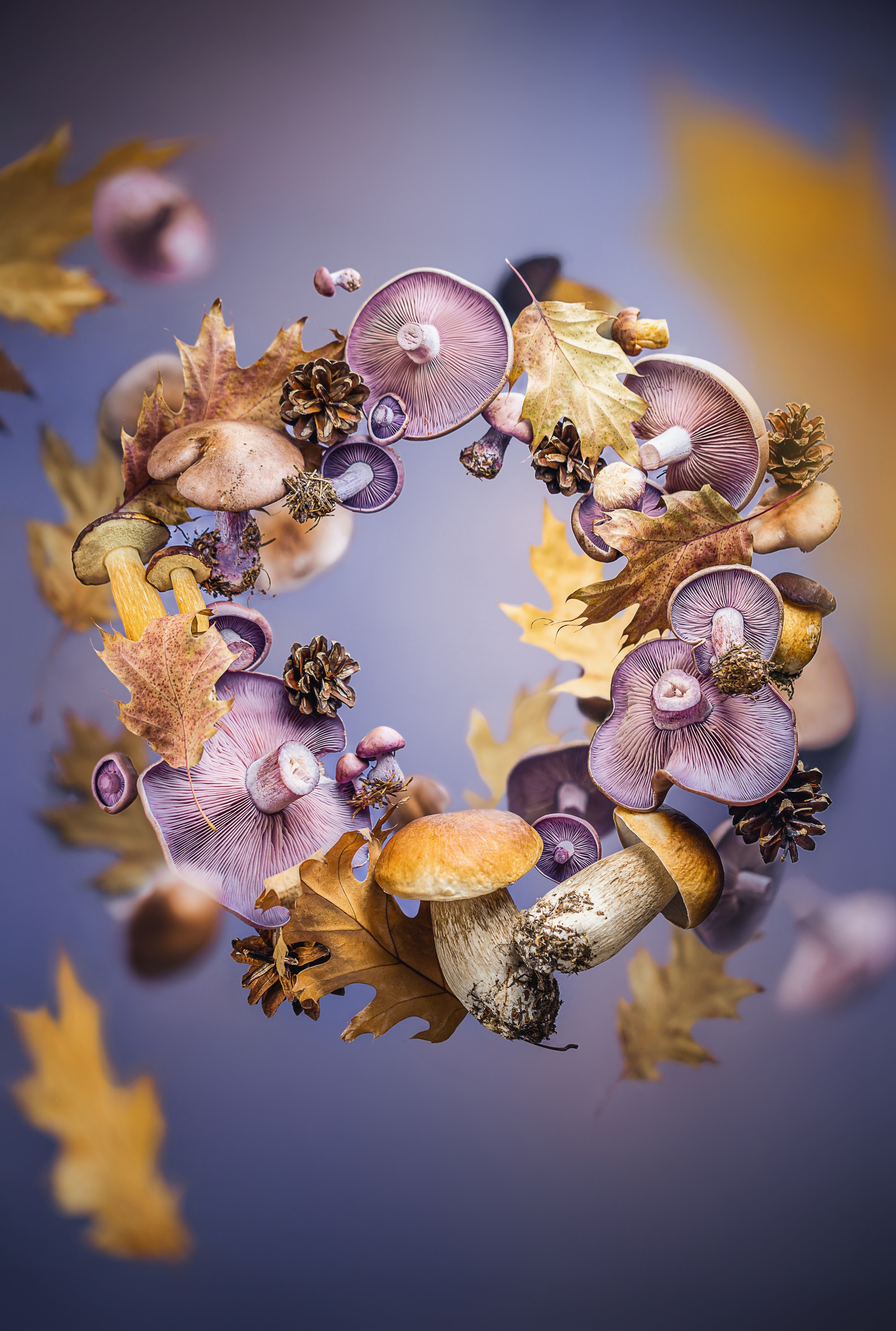 Portfolio Award 2025