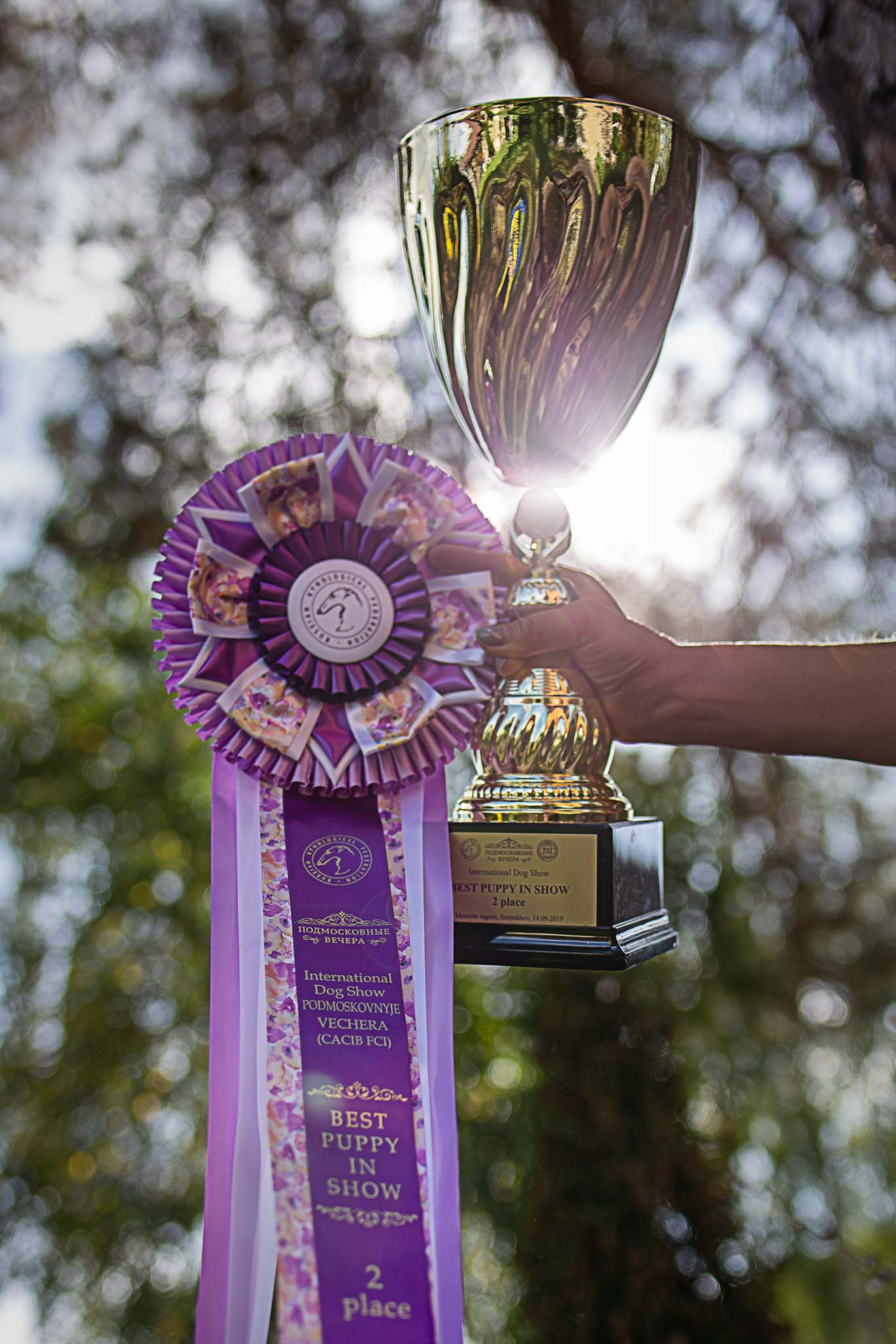 Серпухов «Подмосковные вечера»