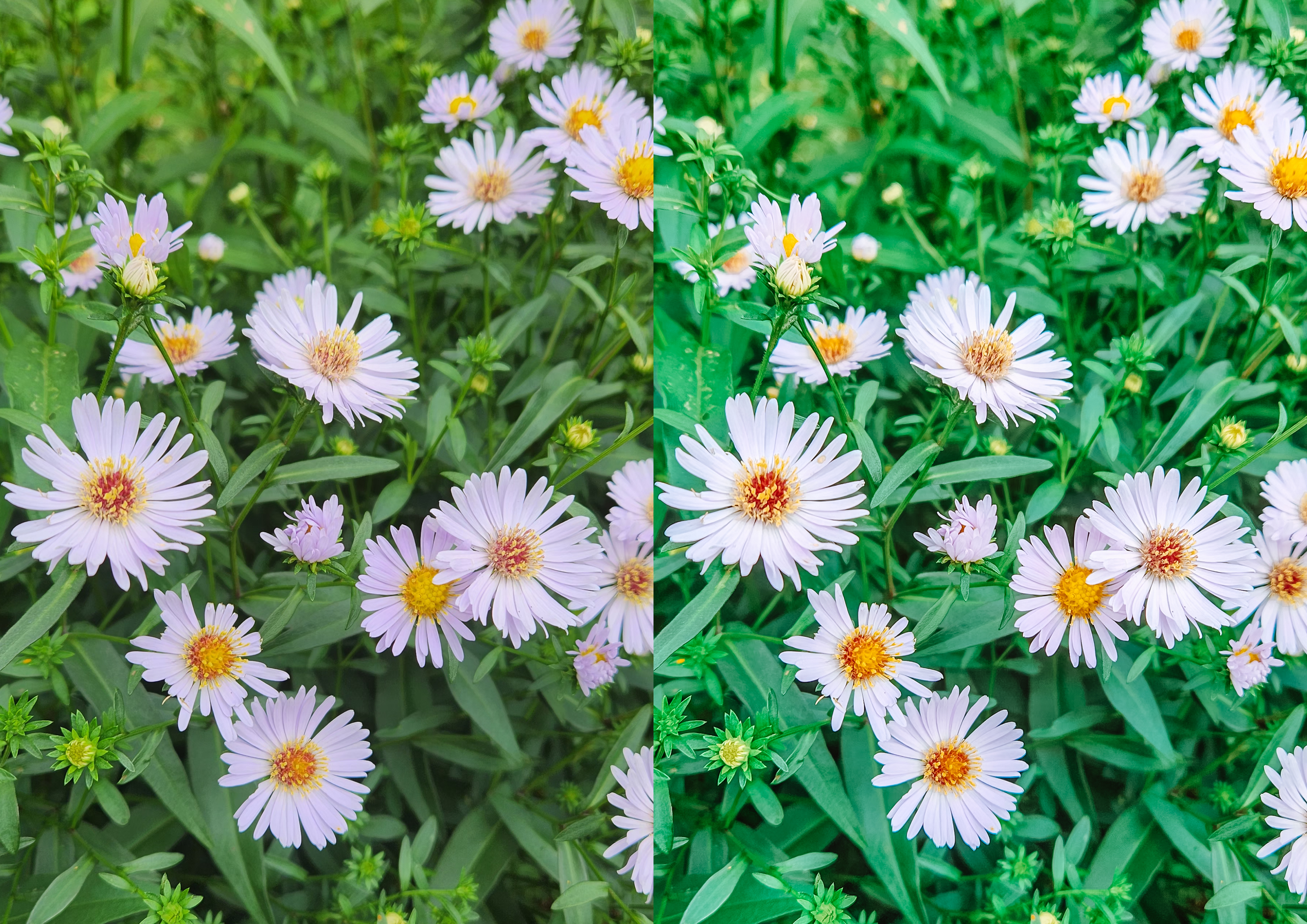 Магазин Пресетов. Семейный, свадебный, репортажный фотограф в Санкт-Петербурге Ярик Арс