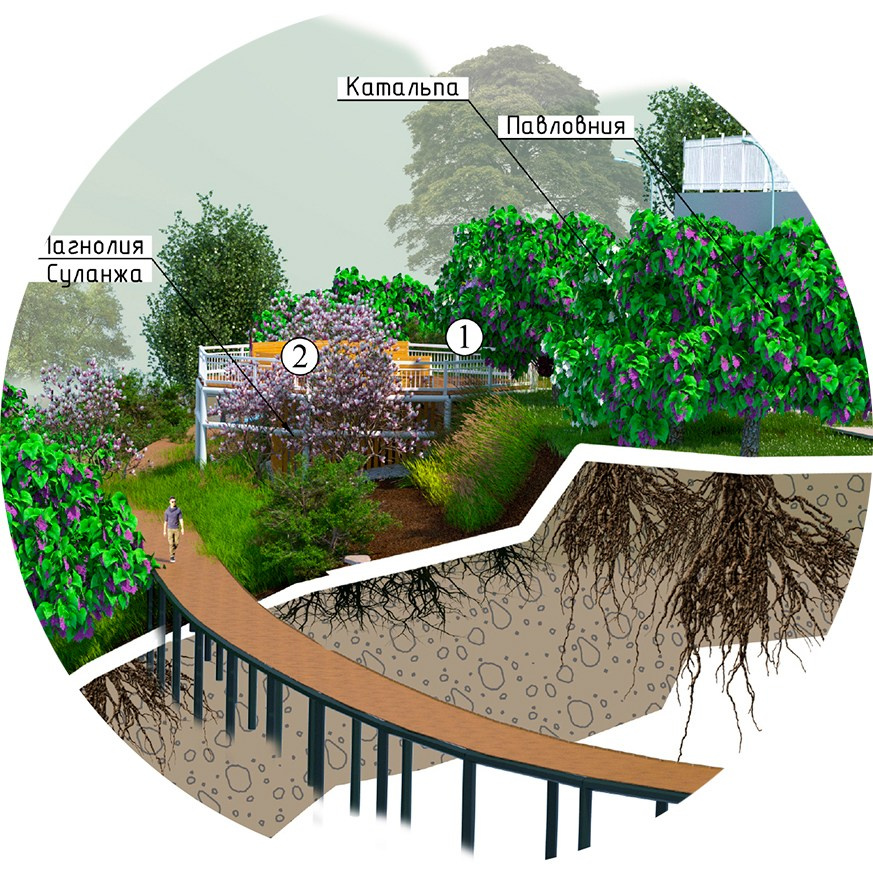 Проект благоустройства парка 80-летия образования Краснодарского края. Интерьерный дизайнер в Сочи Поплавская Татьяна. Проектирование интерьеров и организация процесса ремонта