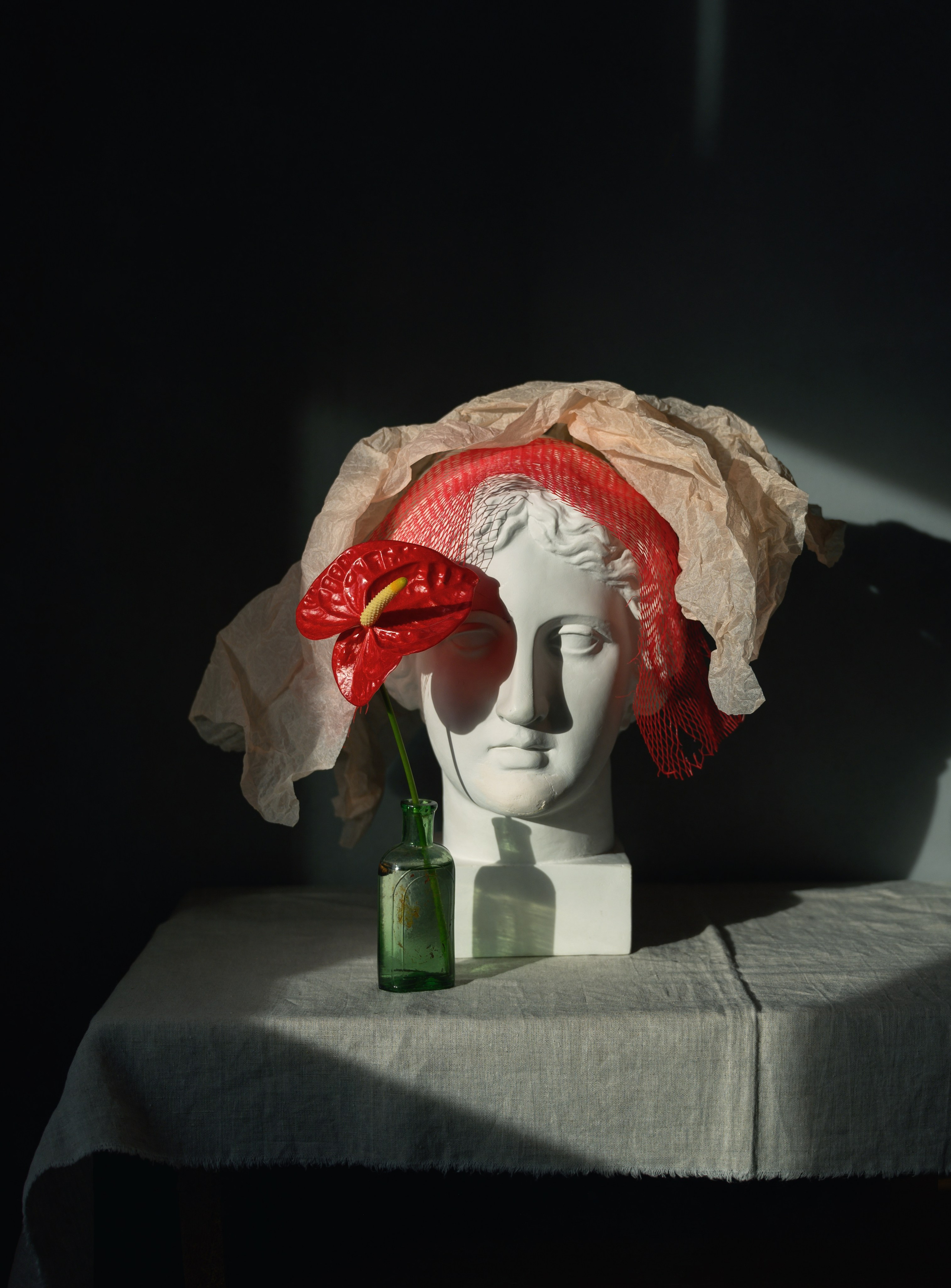 Состоялось открытие выставки «Тайная жизнь. Портрет и натюрморт». Фотограф Елена Хазина, Рязань