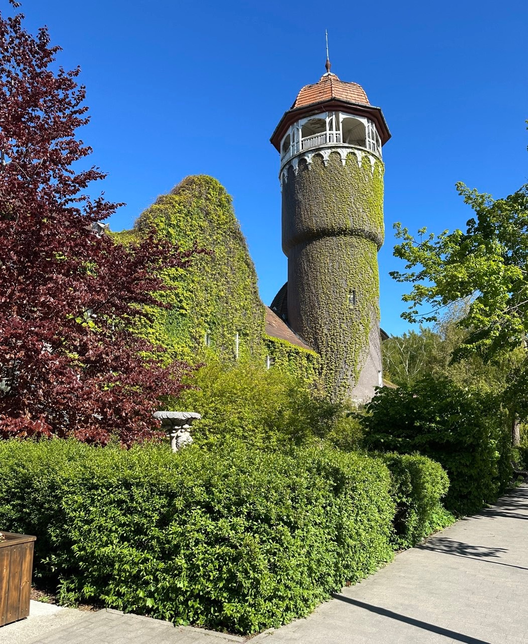 Фототур «Свет янтаря в сердце Балтики». Ольга Котова