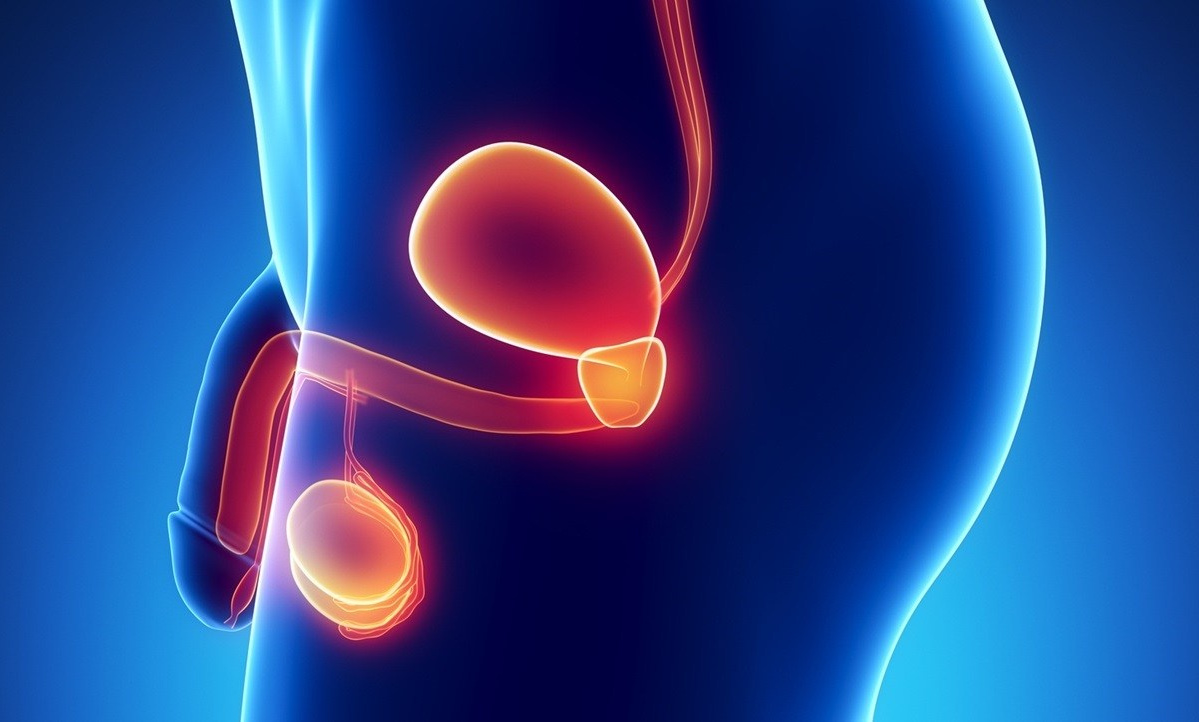 Какими препаратами Сово-Сова лечить воспаление придатков яичек у мужчин