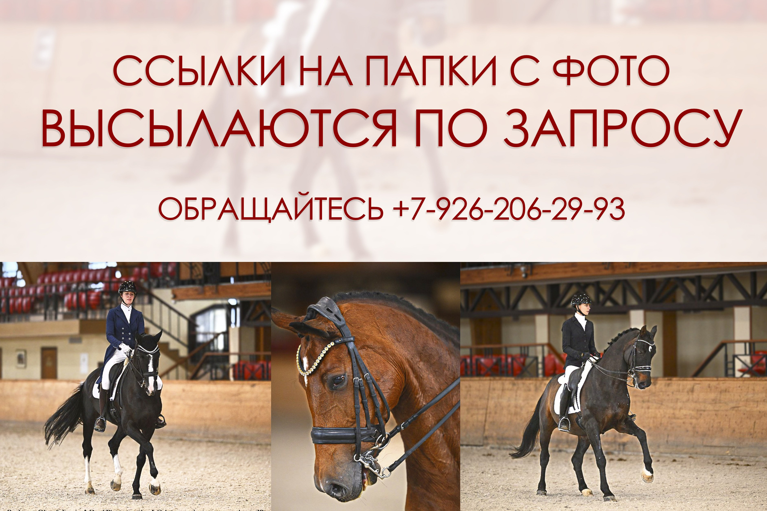 2025-11-15 — КСК Пегас, выездка. ТУРНИРНАЯ КОННАЯ ФОТОГРАФИЯ, Руднева Ольга и Евгений Адеев