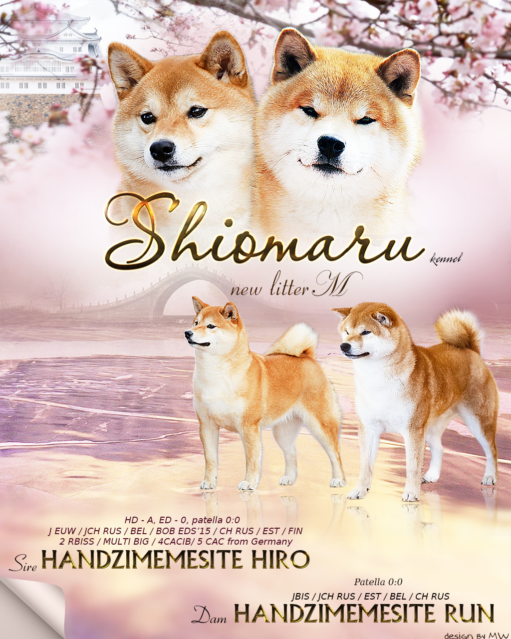 LITTERS. SHIOMARU Shiba and Akita Inu Kennel