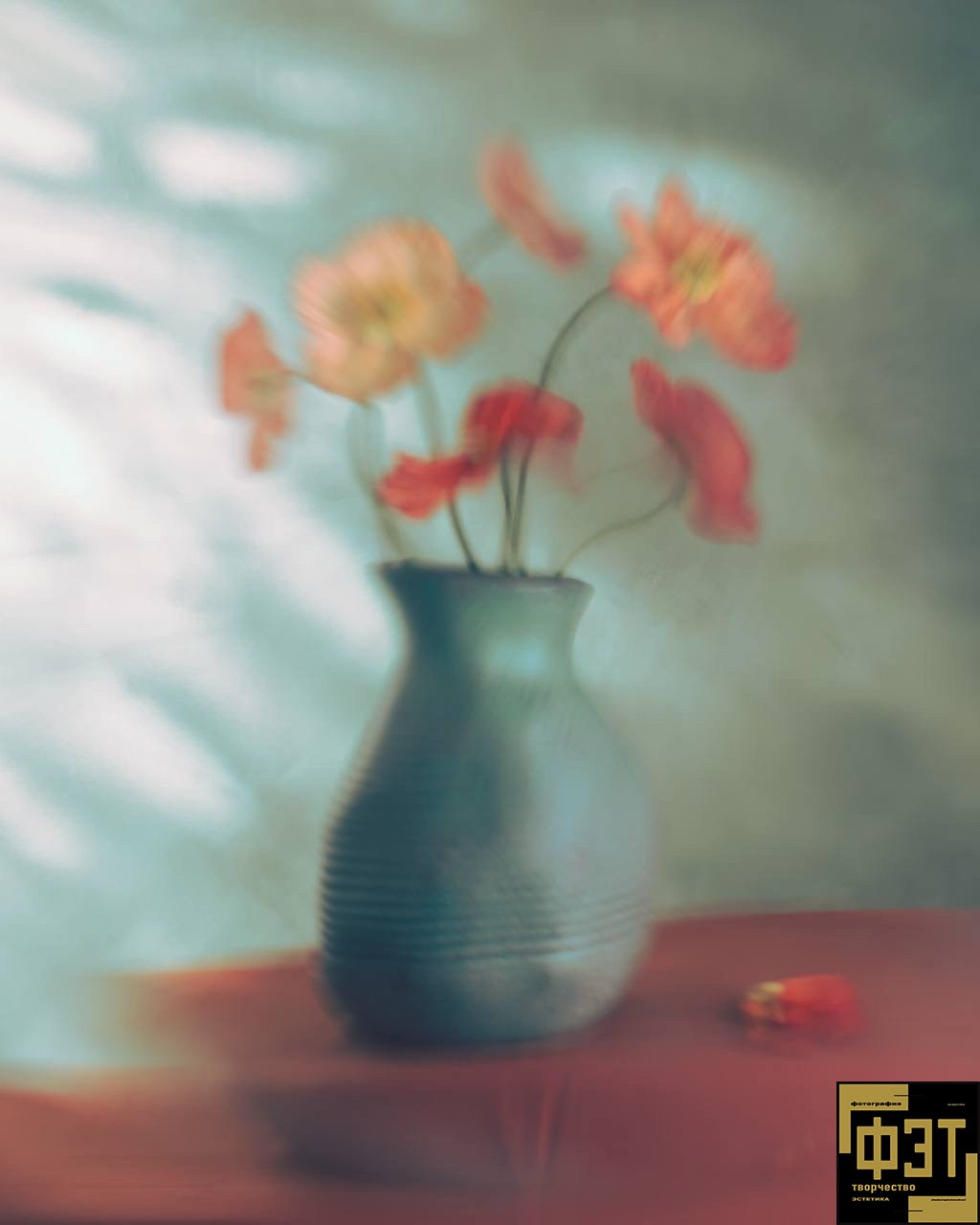 Выбор зрителей 01.03.26