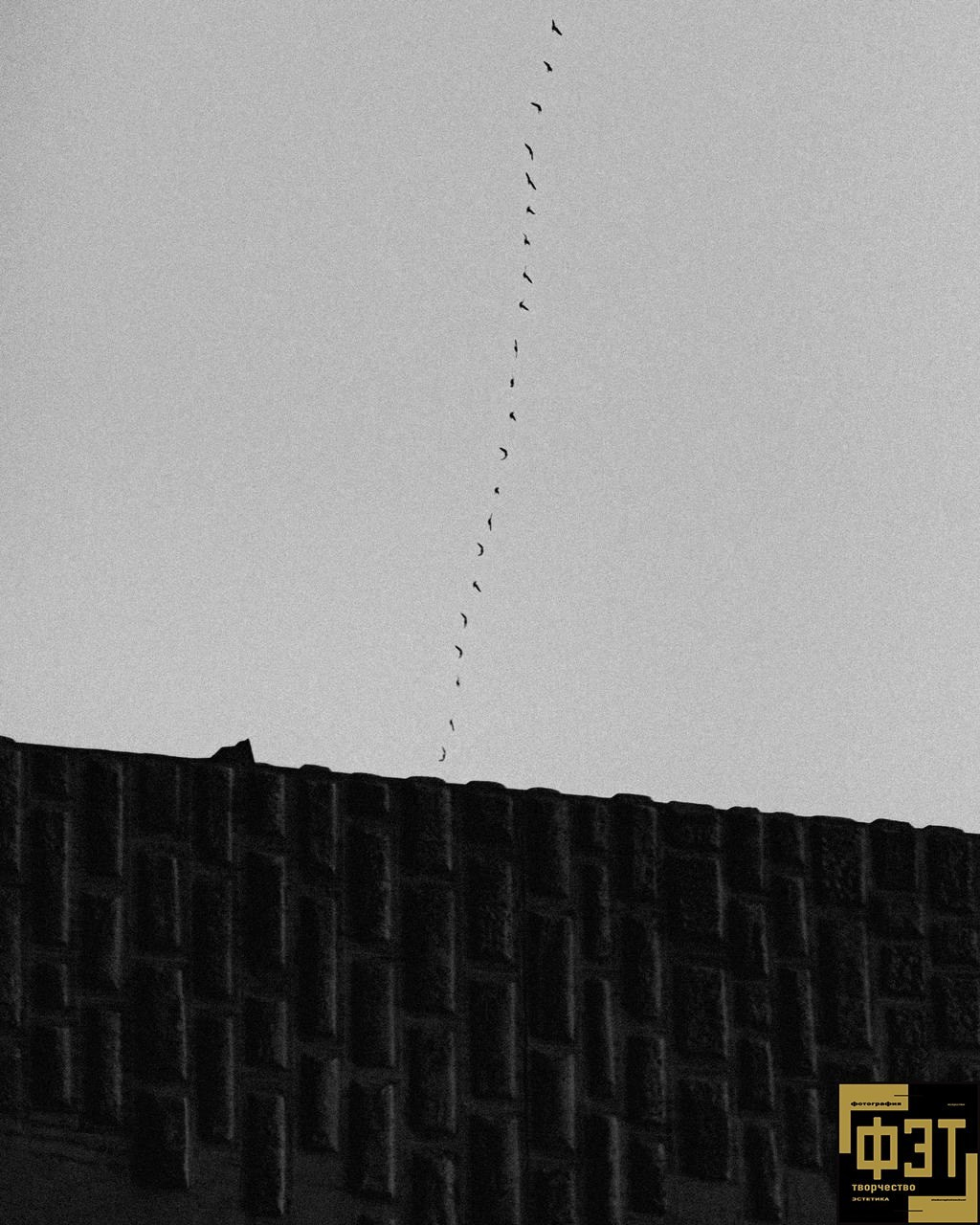 Выбор зрителей 14.12.25