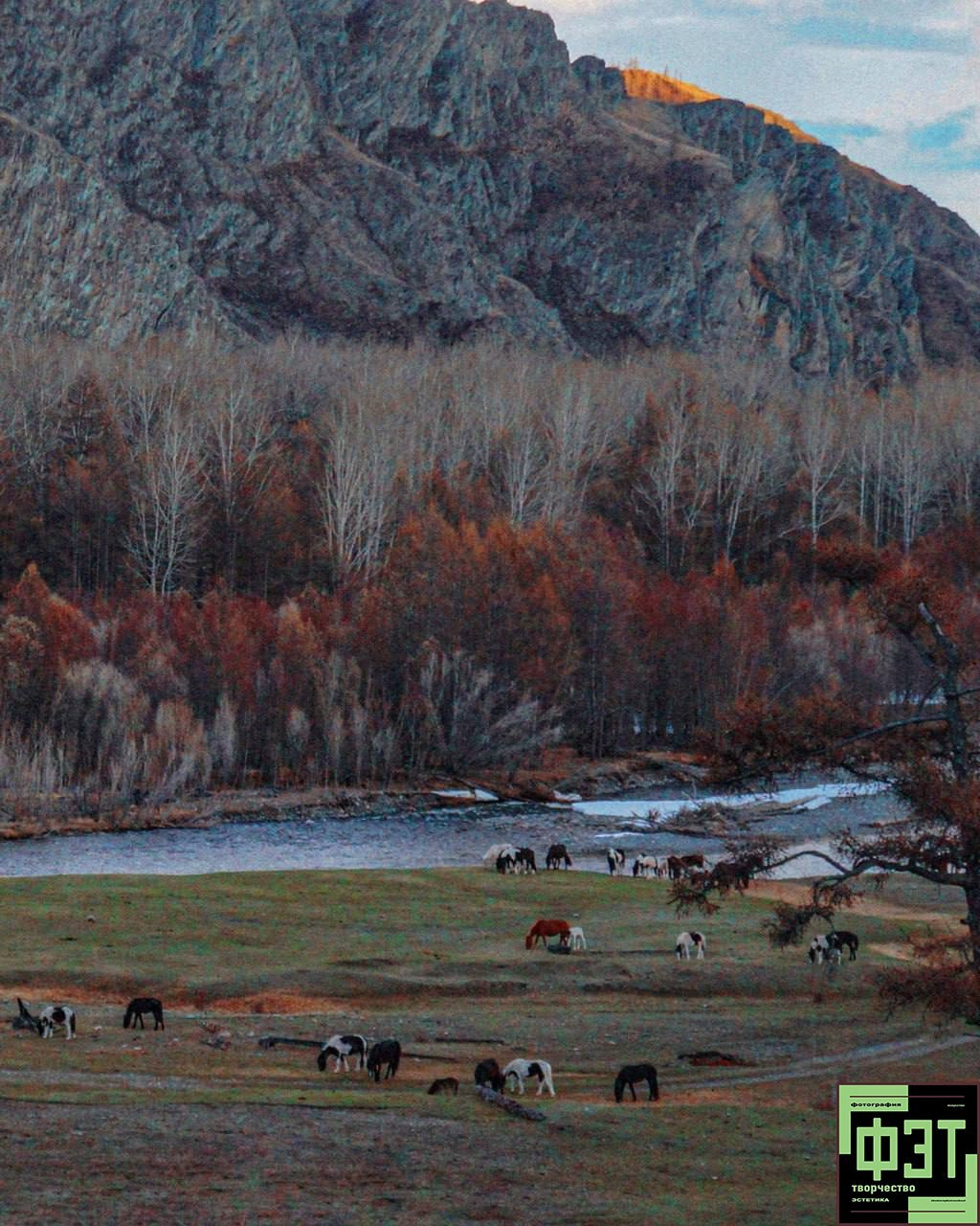 Альбом 18.01.26 проект ФЭТ