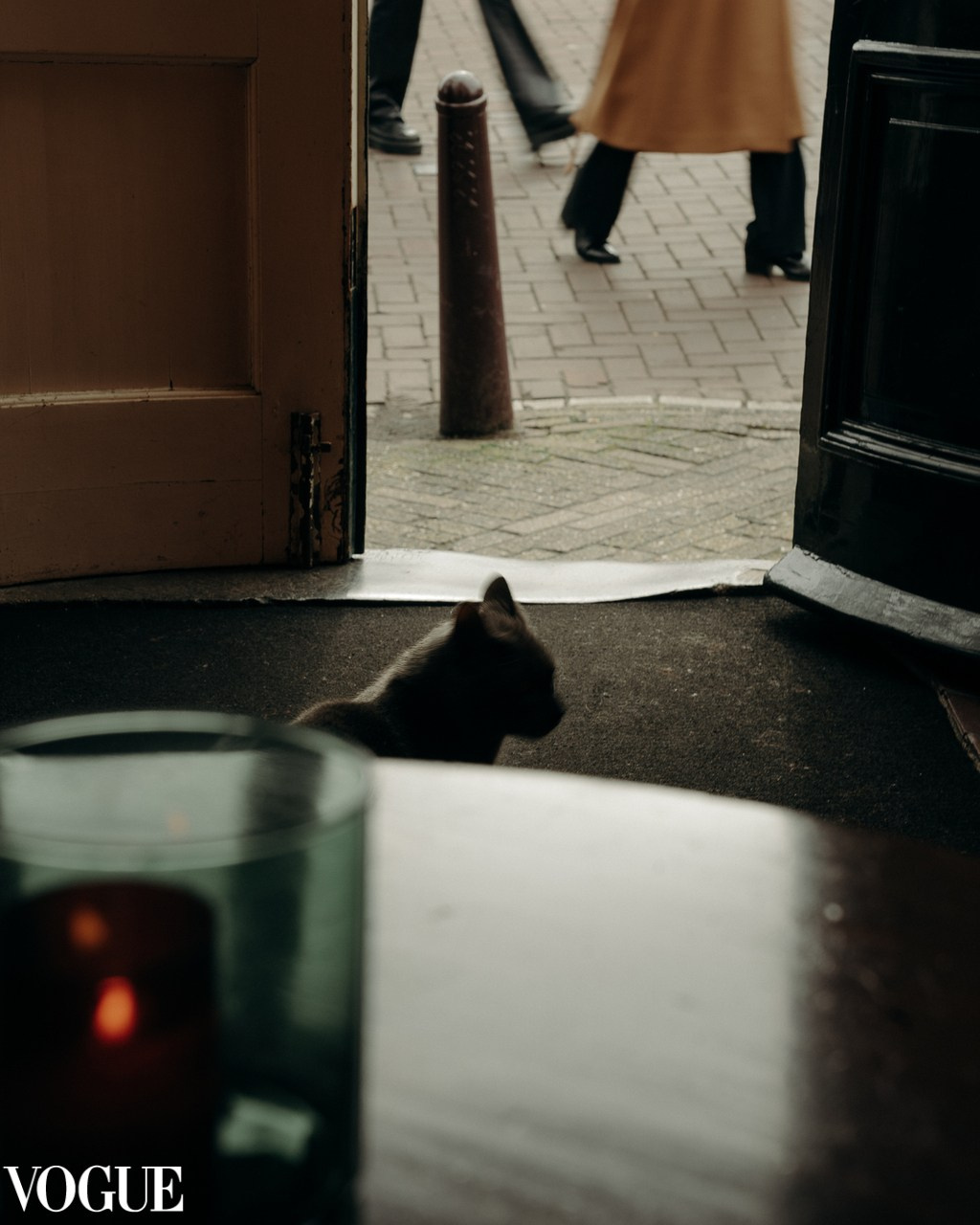 About me. Photos of you and your pet