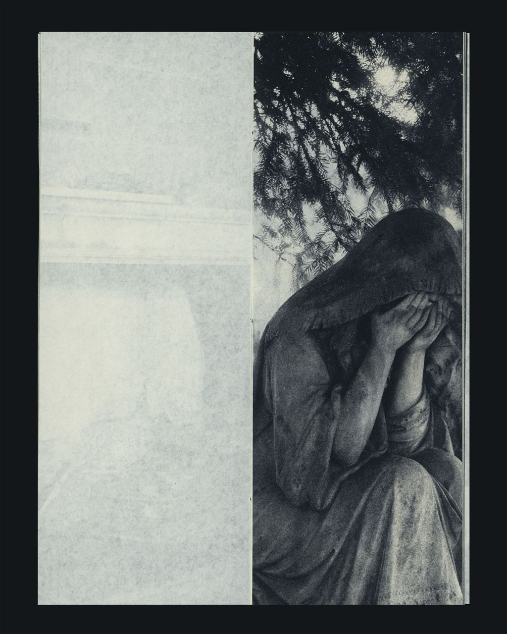 ХОЧУ СДЕЛАТЬ ФОТОКНИГУ/ЗИН — ЧТО ВАЖНО ЗНАТЬ?. Самоорганизация Низина