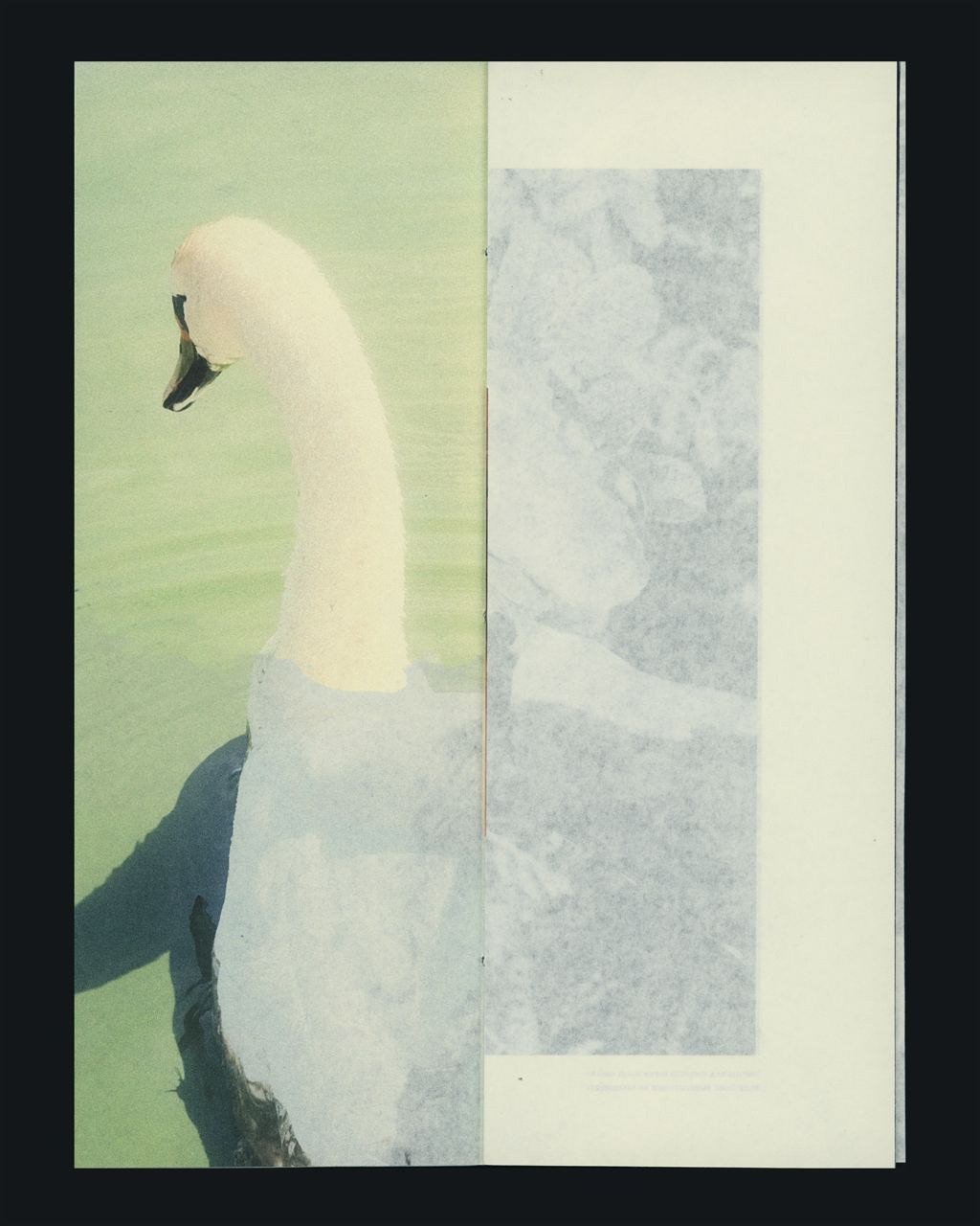 ХОЧУ СДЕЛАТЬ ФОТОКНИГУ/ЗИН — ЧТО ВАЖНО ЗНАТЬ?. Самоорганизация Низина