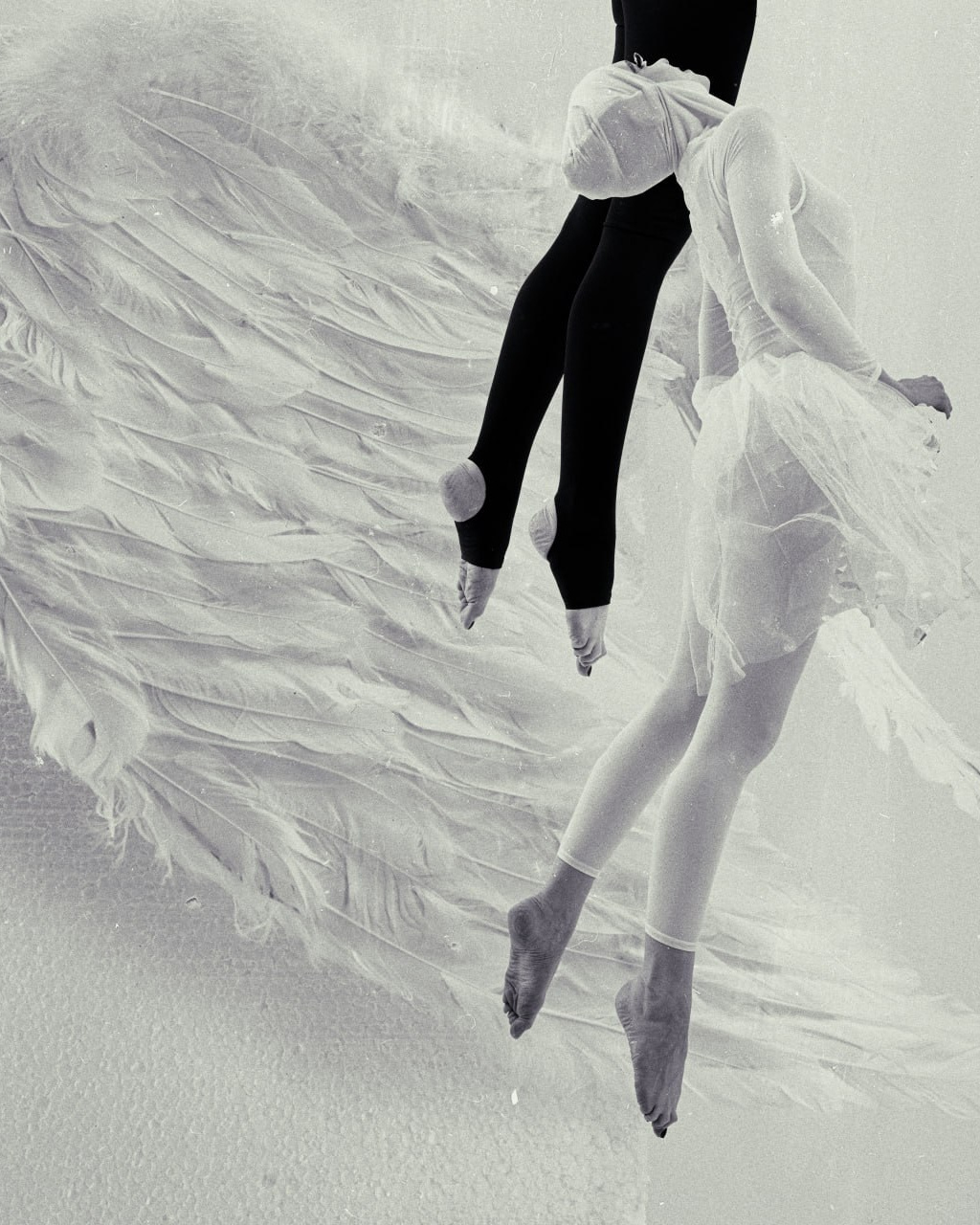 DIVIDE & CONQUER. Yulia Yurchevskaya | Art Director & Visual Visionary