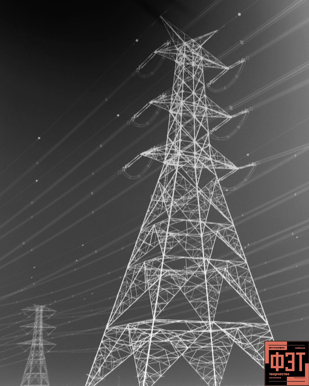 Альбом 29.03.26 в рамках ФЭТ