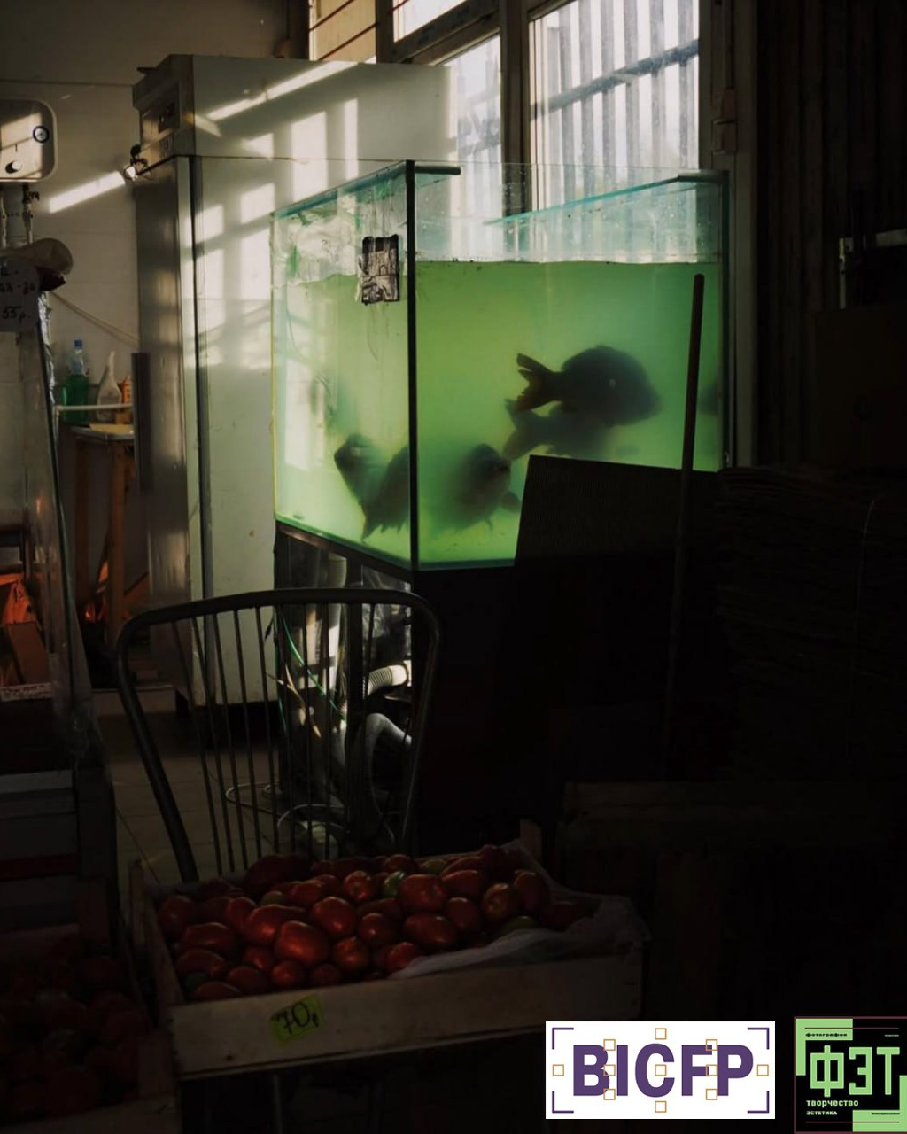 Альбом 28.12.25 ФЭТ