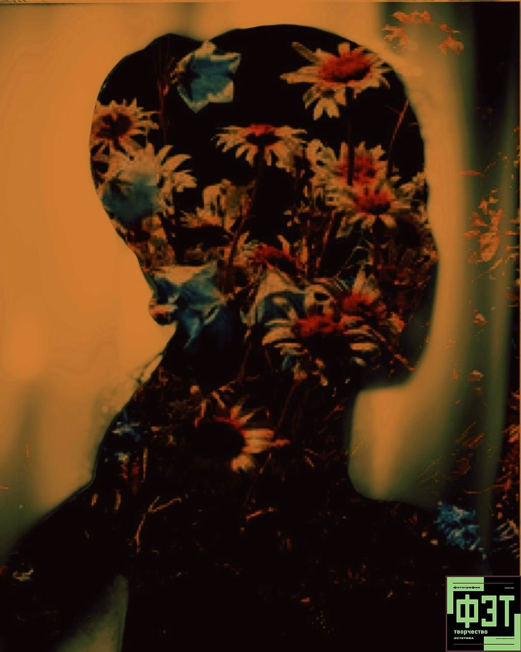 Фотопроект «ФЭТ: Фотография, Эстетика, Творчество»