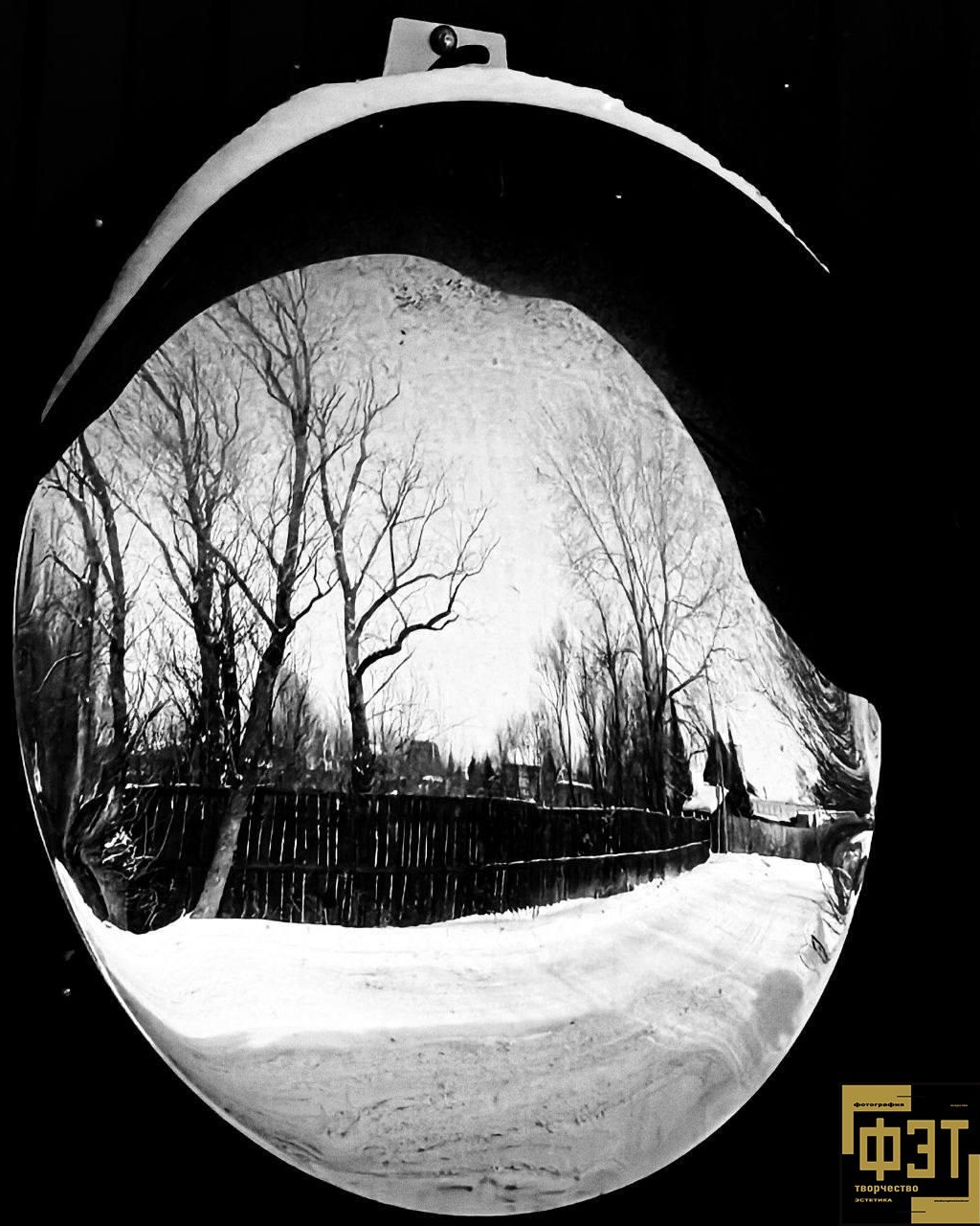 Выбор зрителей 14.12.25