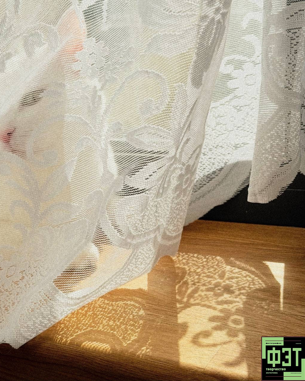 Альбом 29.03.26 в рамках ФЭТ