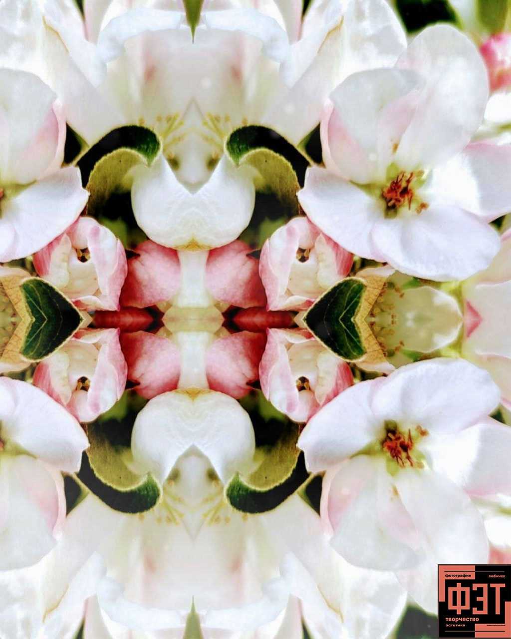 Наталья Переверзева