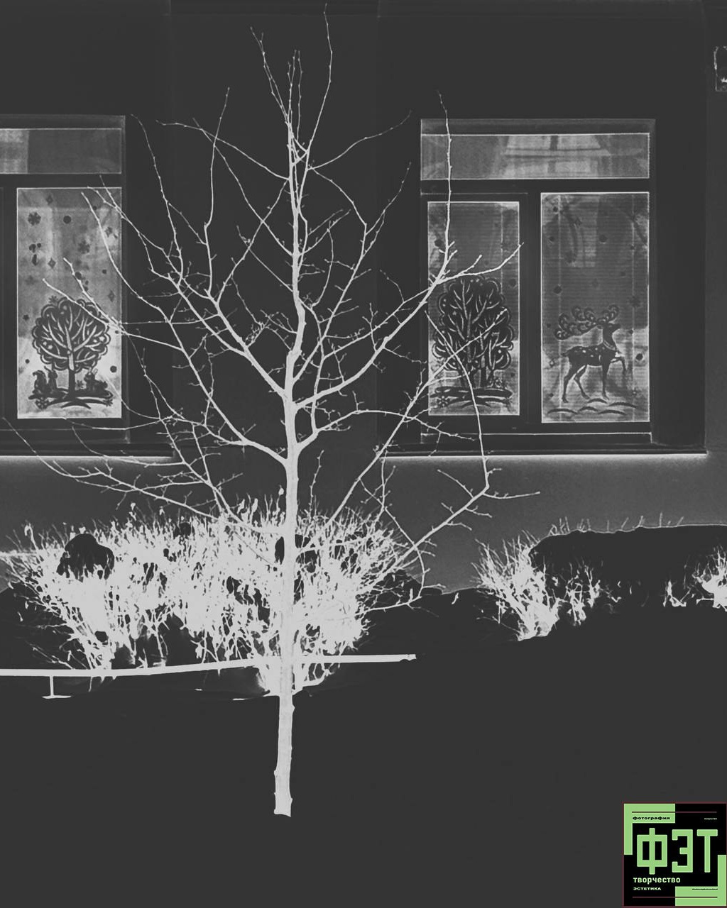 Альбом 18.01.26 проект ФЭТ