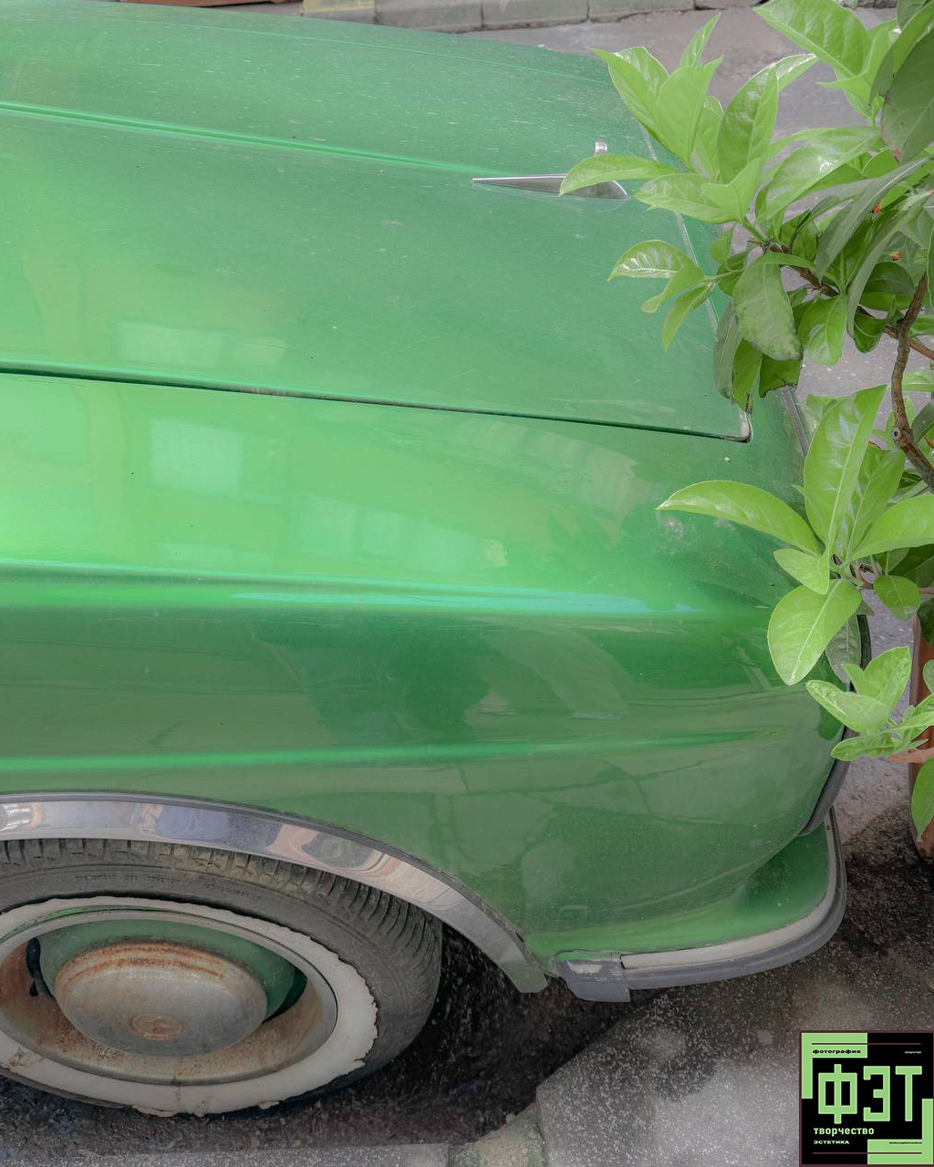 Наталья Переверзева