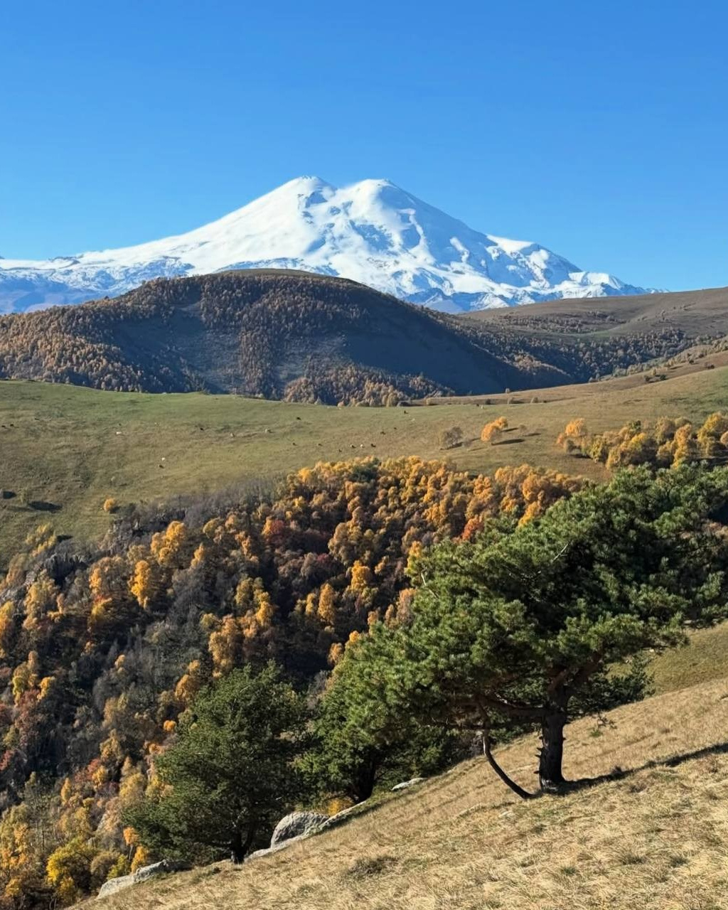 О Компании. Организатор Авторских Туров Жукова Алёна