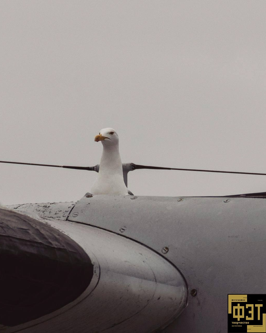 Выбор зрителей 14.12.25