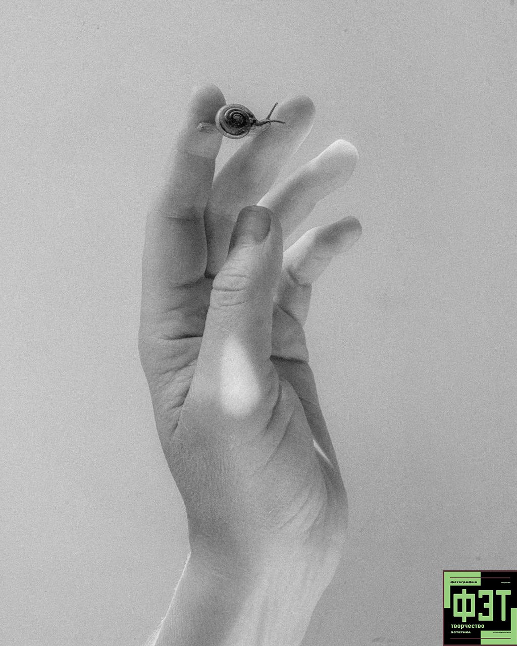 Альбом 19.04.26 в рамках проекта ФЭТ