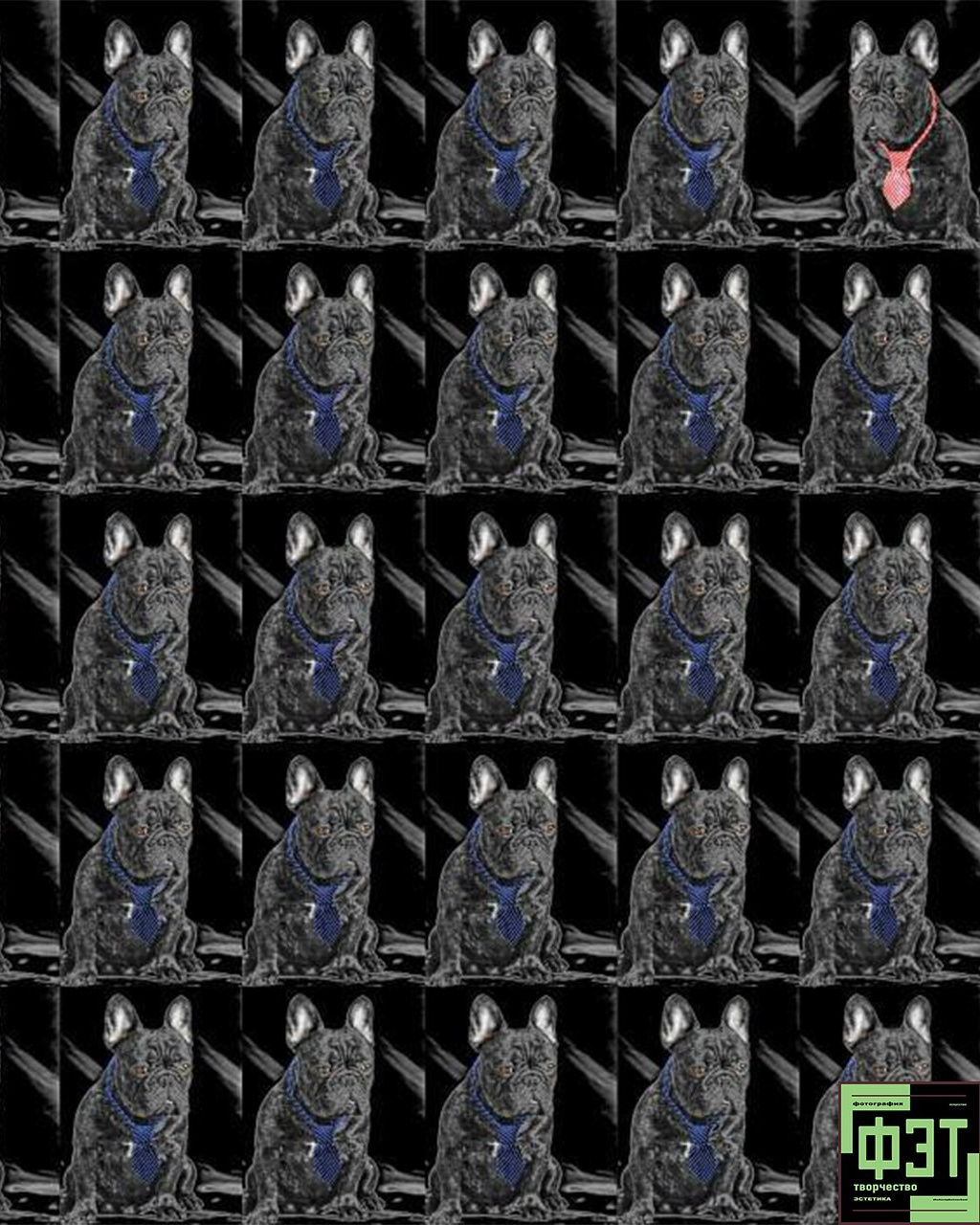 Альбом 11.01.26