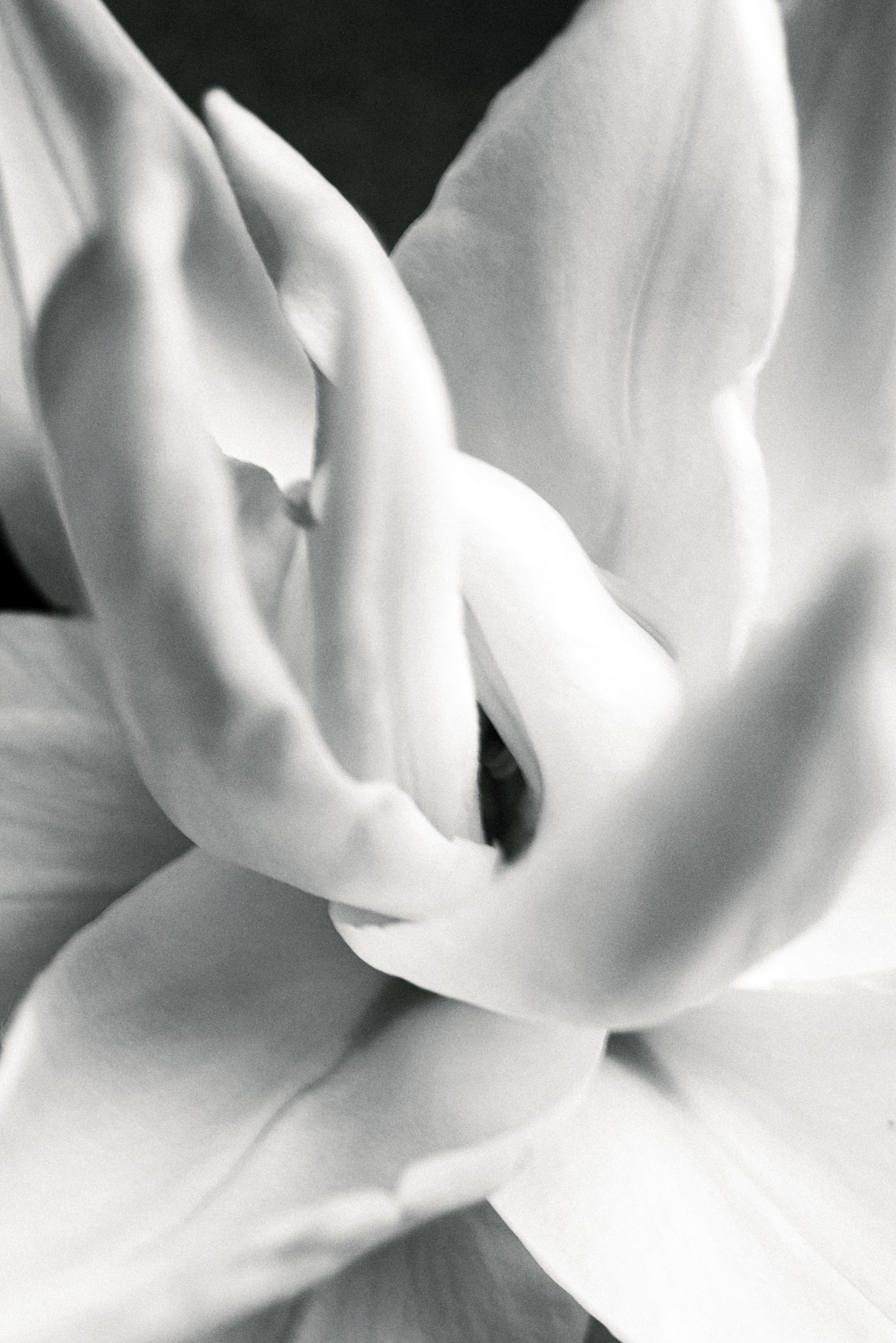 Фотограф Ольга Малыгина