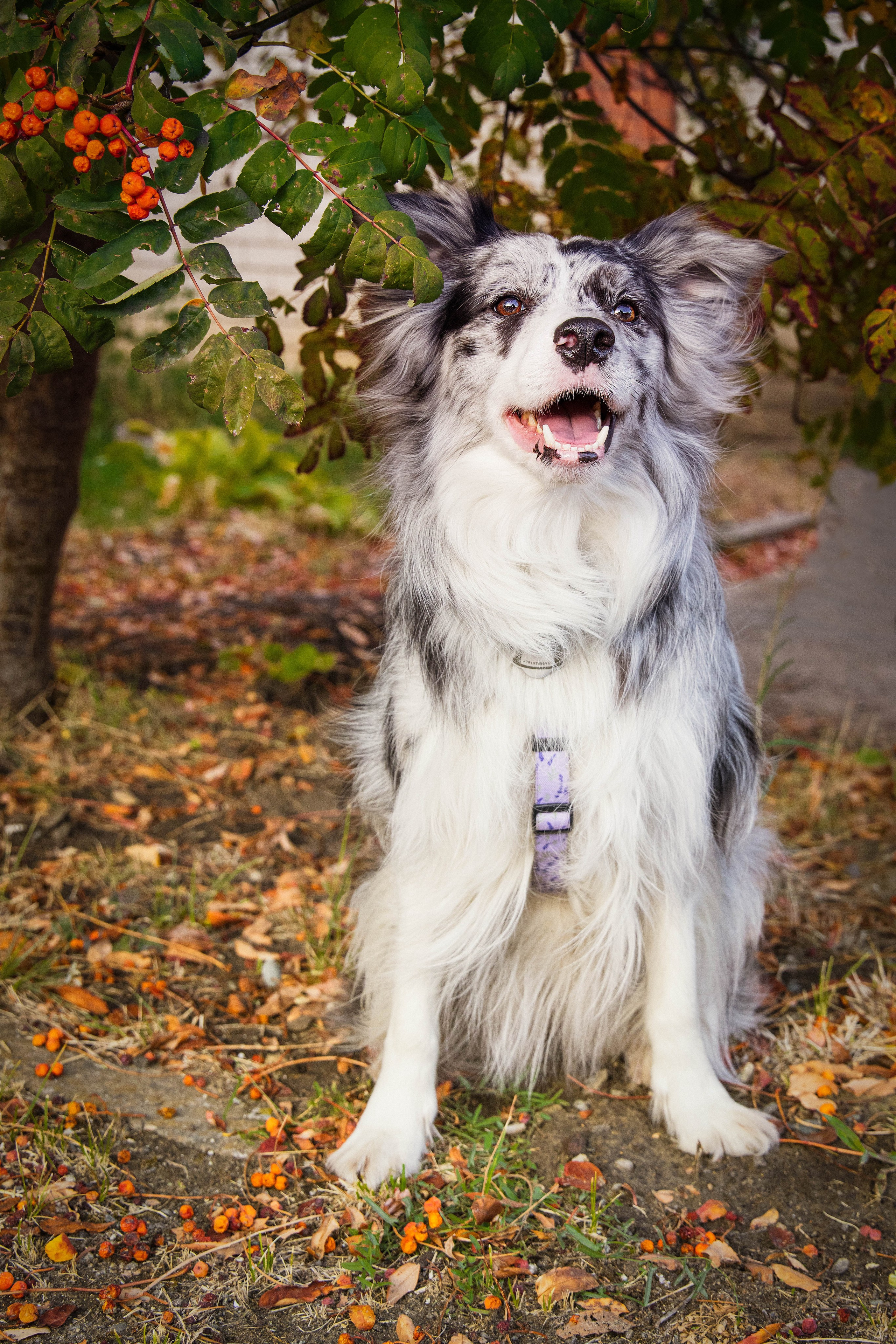 Антонина Савельева Фотограф Ставрополь
