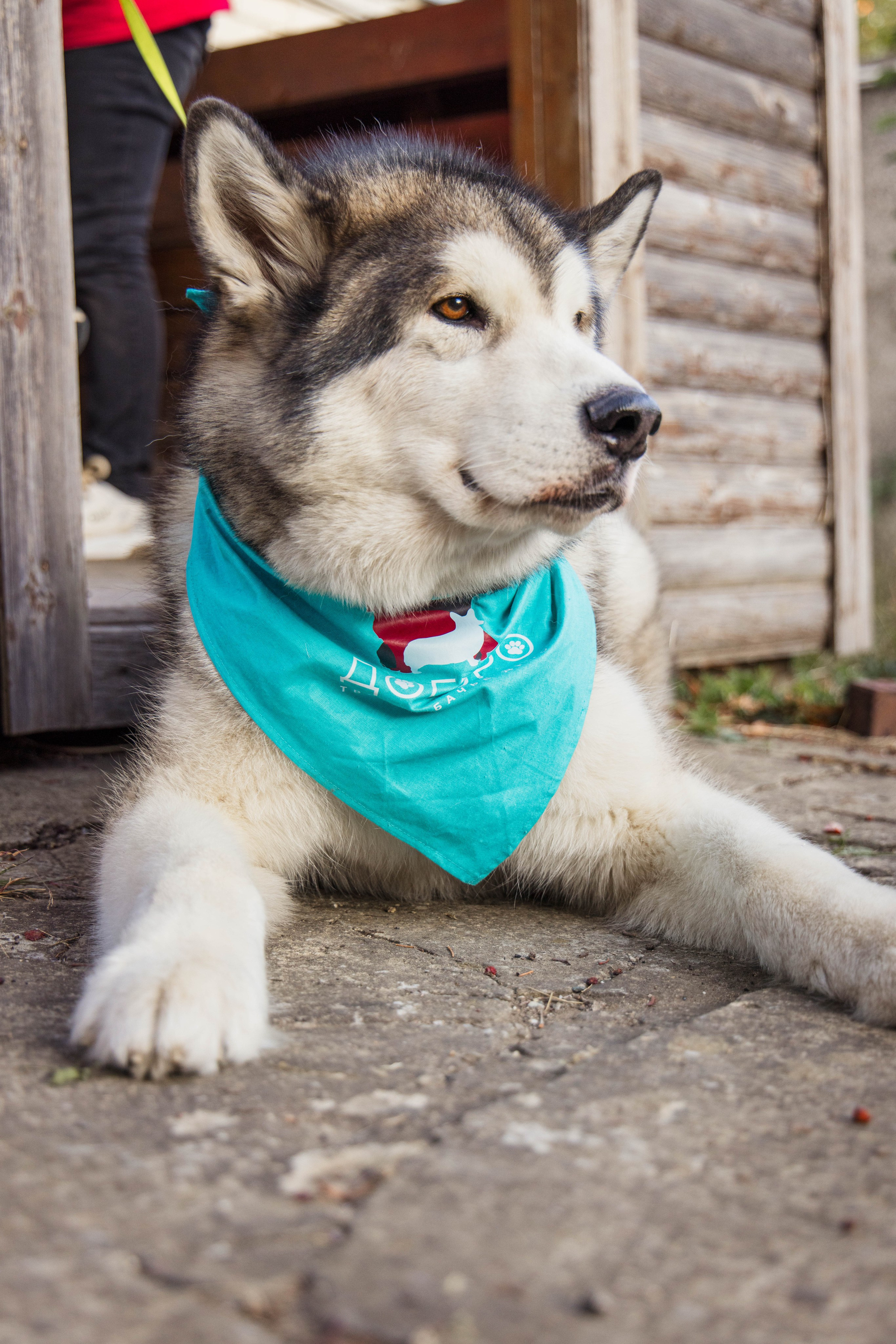 Антонина Савельева Фотограф Ставрополь