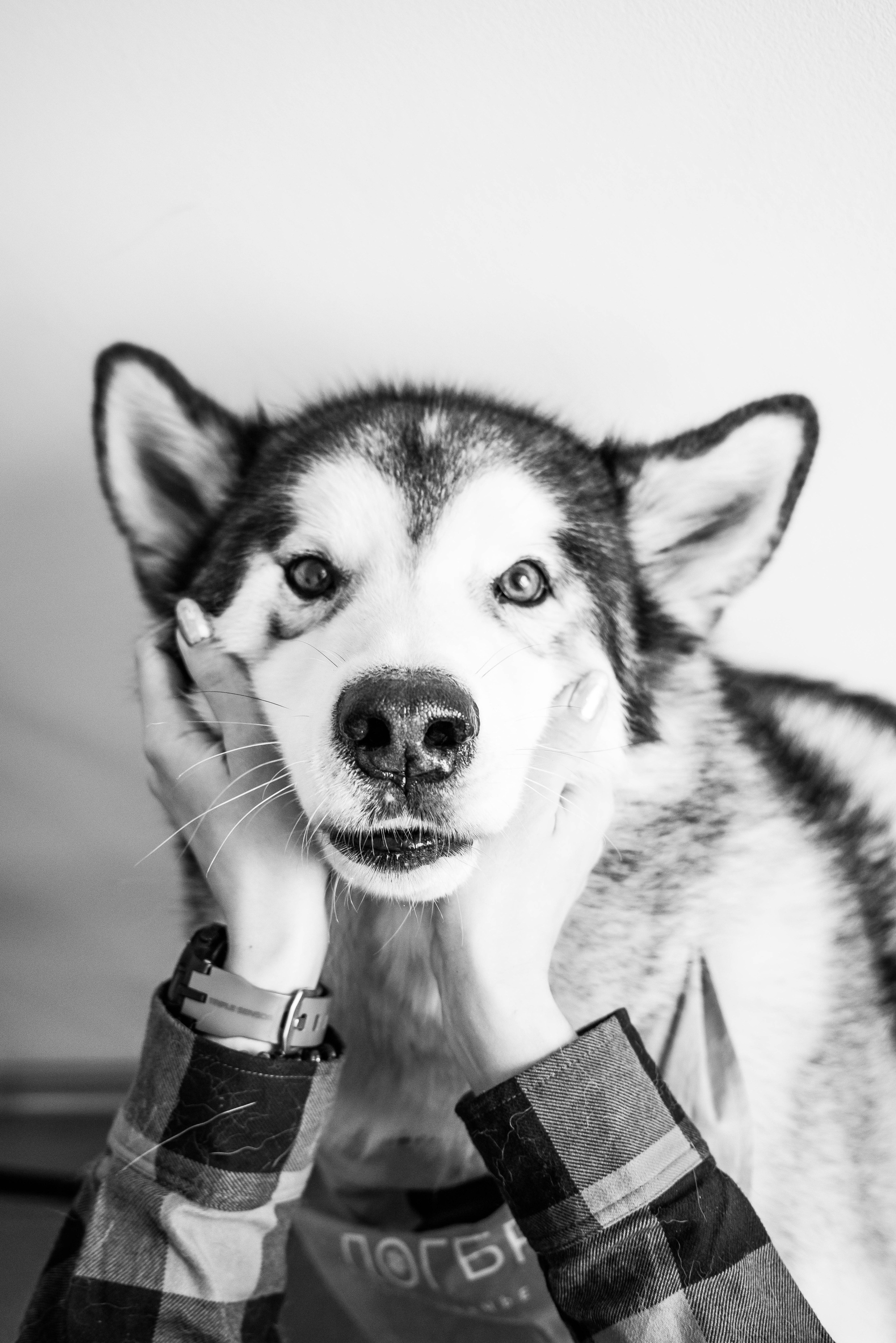 Антонина Савельева Фотограф Ставрополь