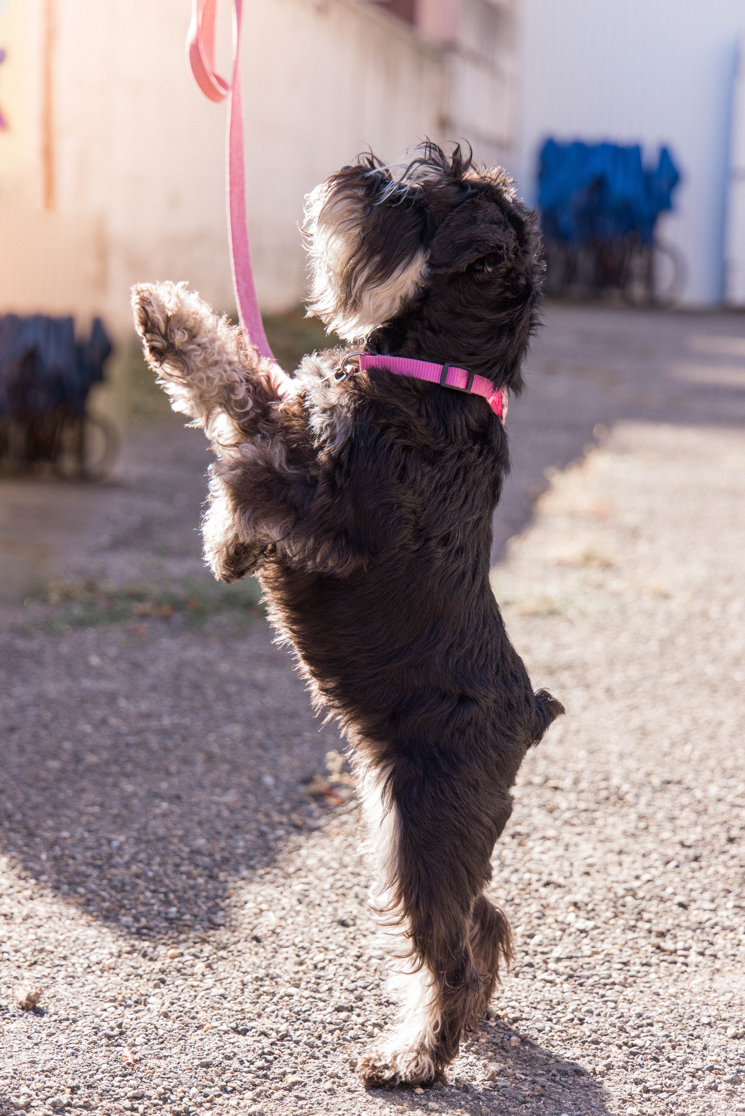 Антонина Савельева Фотограф Ставрополь