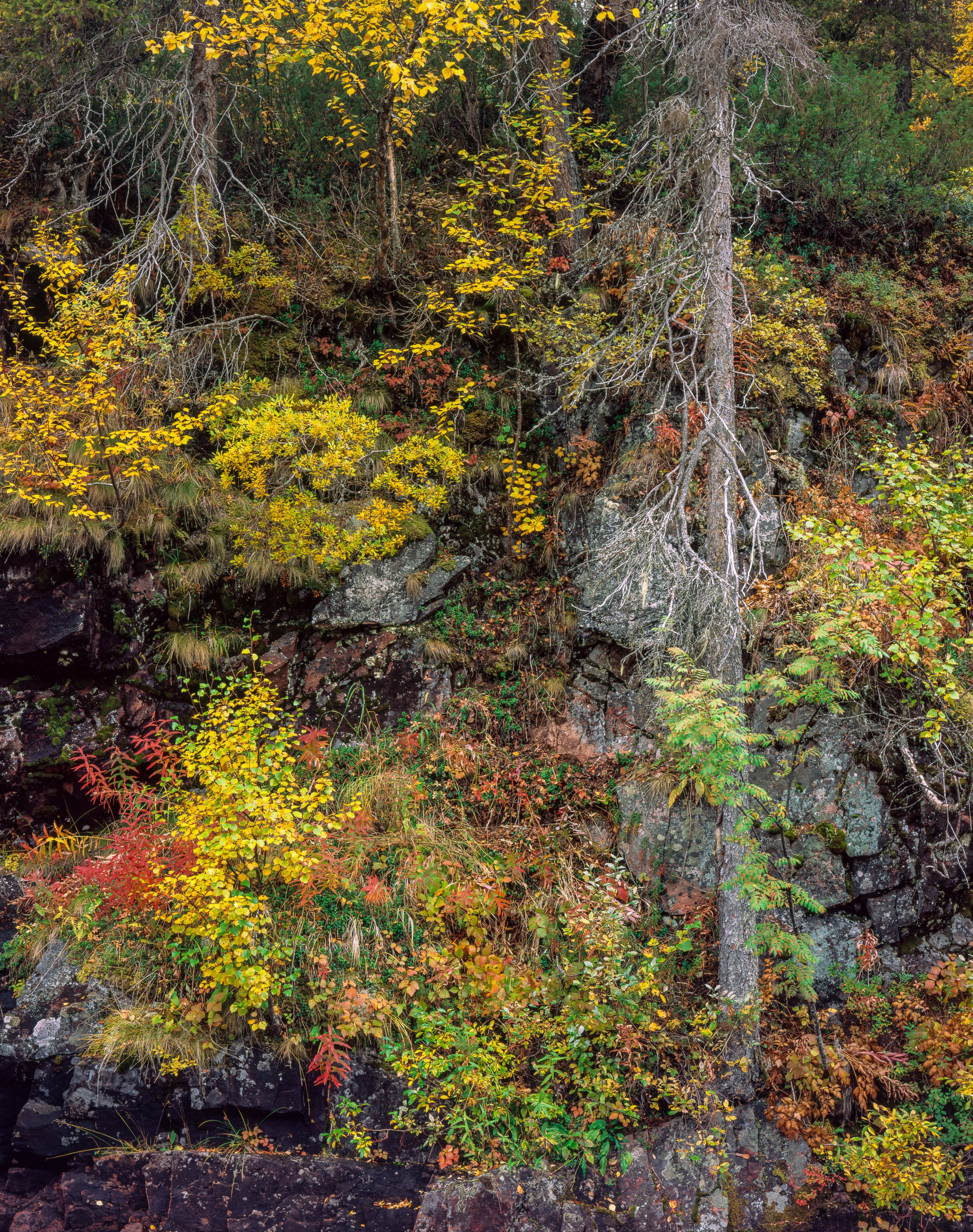 A remarkable day. Northern Nights