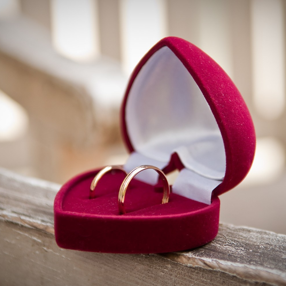 Виды фото услуг и стоимость на съемку. Фотограф Алиса Канцибер. Москва. Портрет, семейное фото, свадьбы